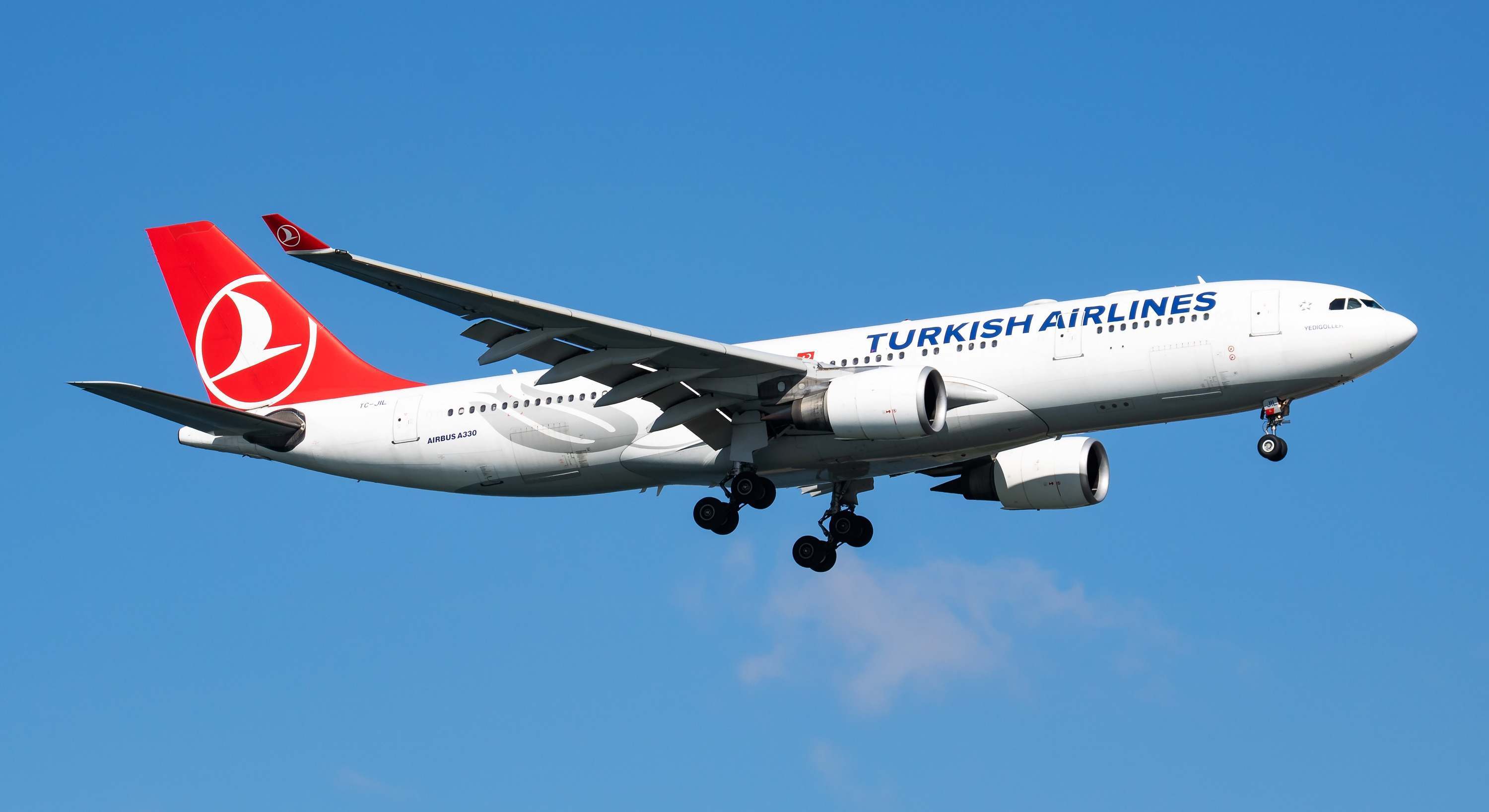 Avión de Turkish Airlines