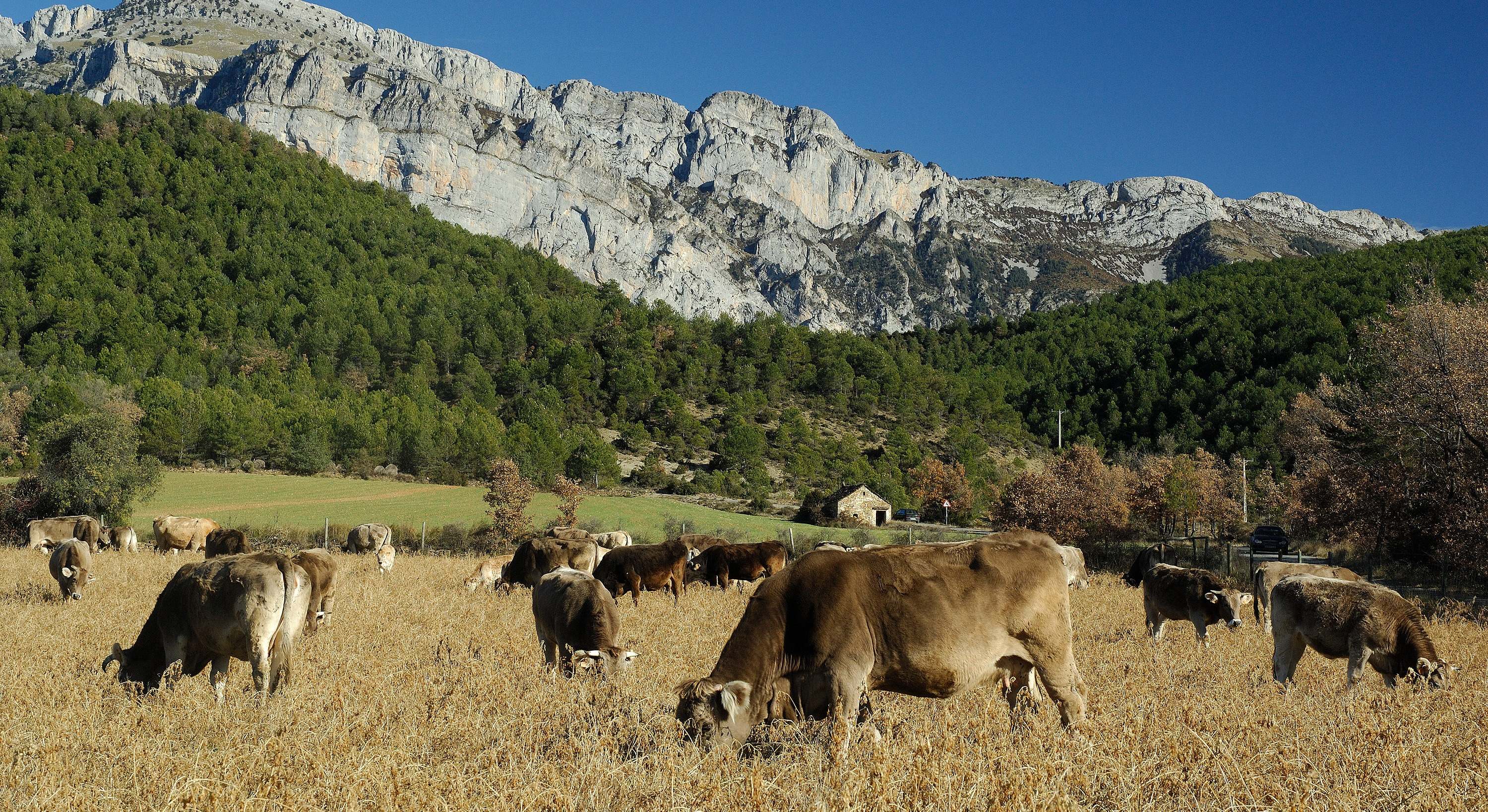 emprendedores medio rural huesca