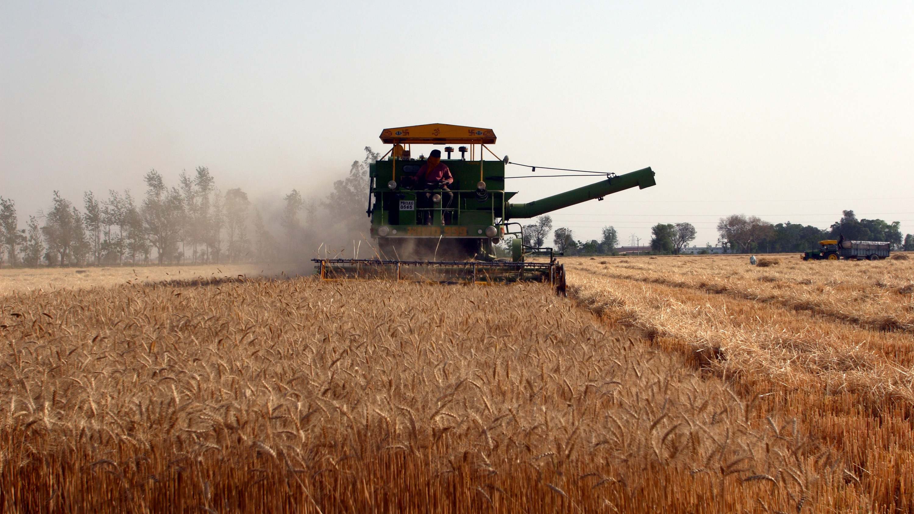 Explotación agrícola