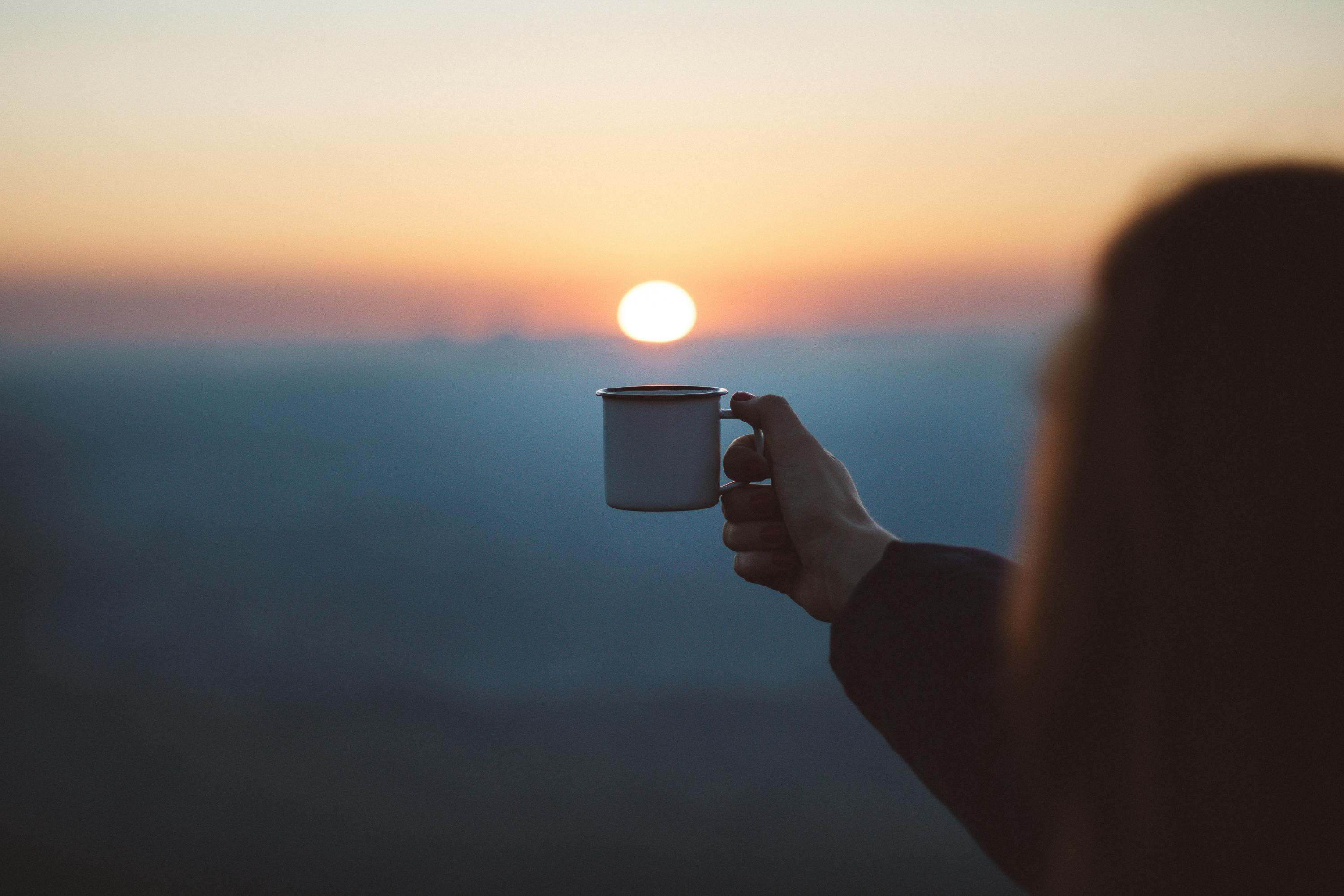 La infusión de eucalipto es ideal para personas que buscan alivio de problemas respiratorios.