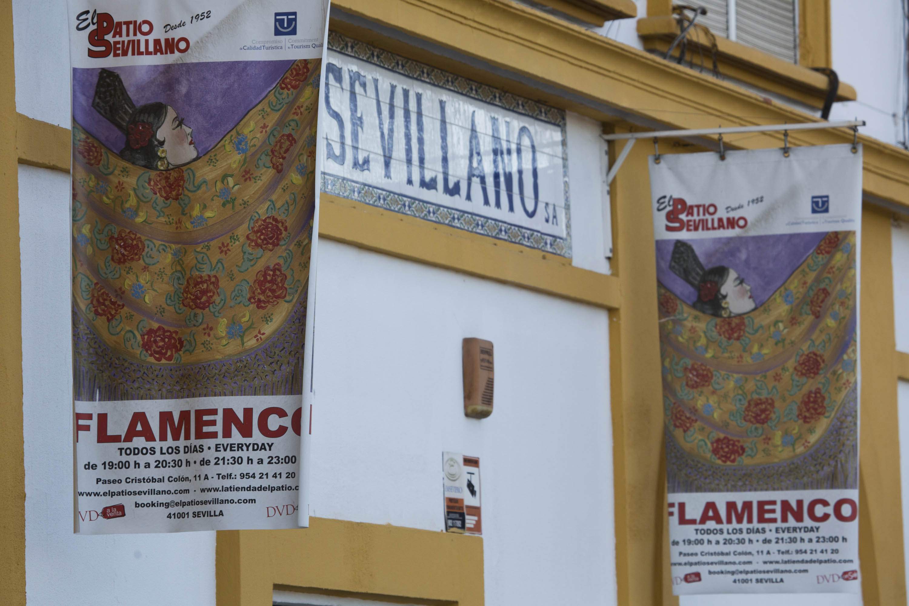 Flamenco.jpg