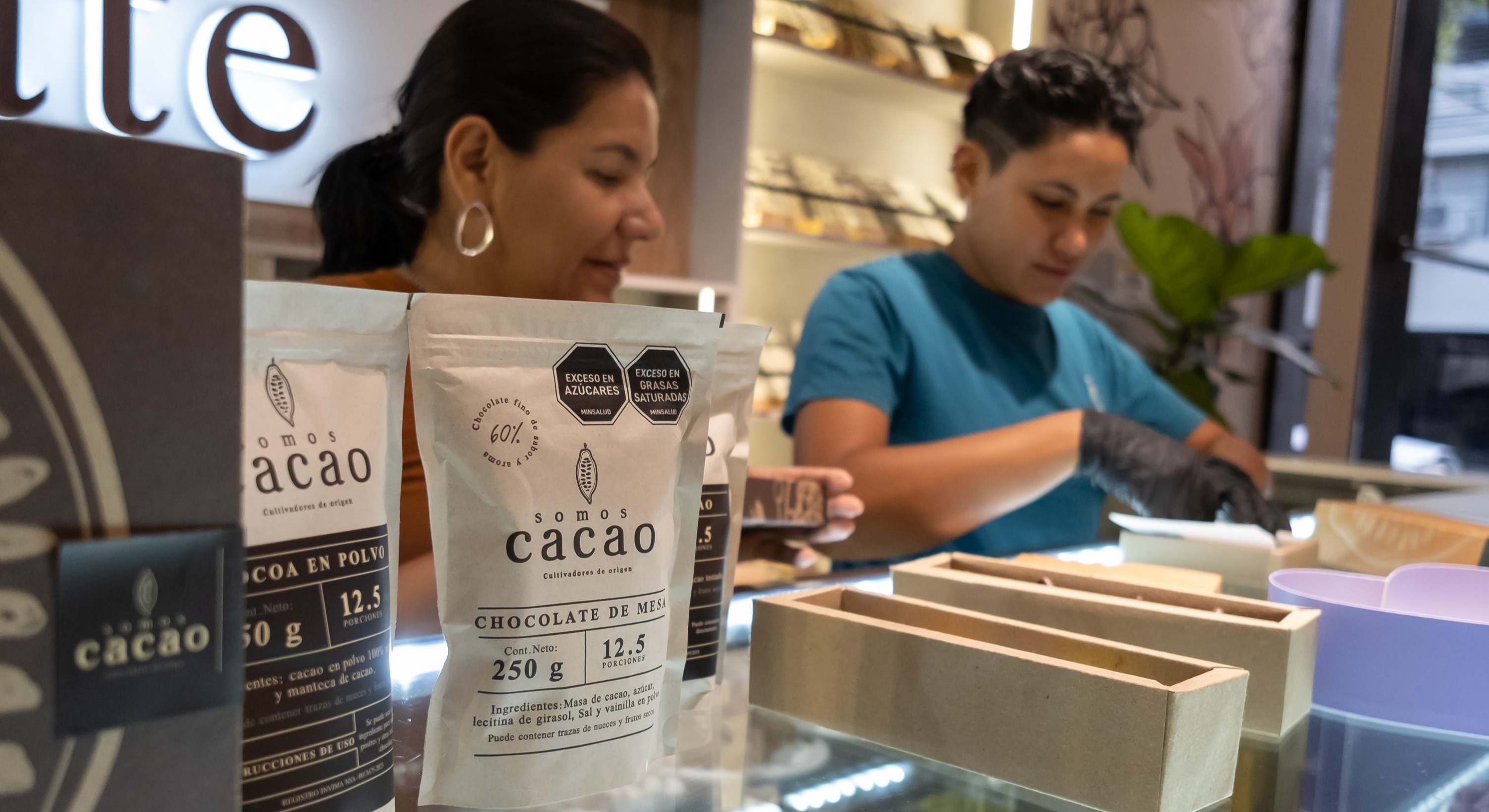 cacao precio