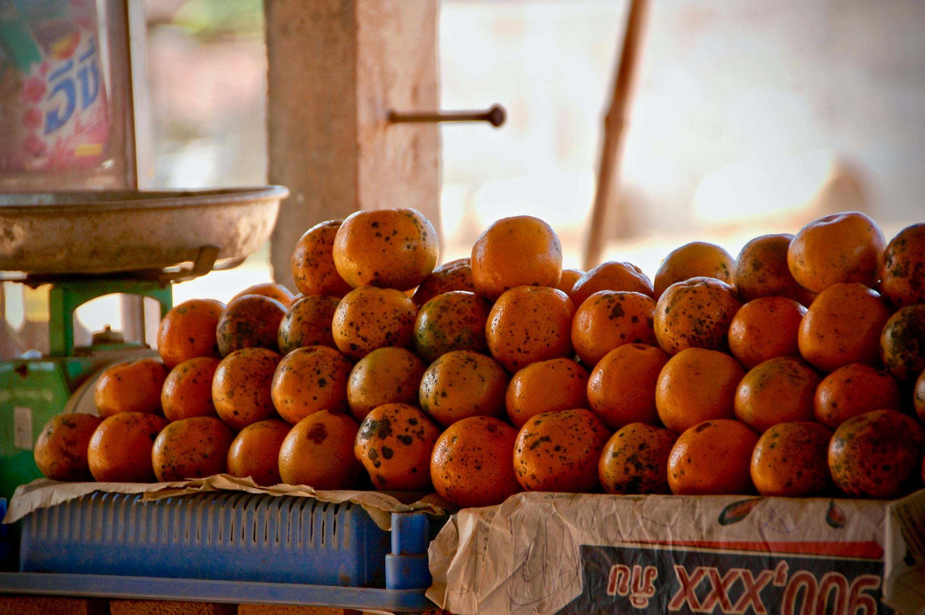 La mandarina, un cítrico con muchos beneficios