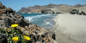 parquenaturalcabodegata
