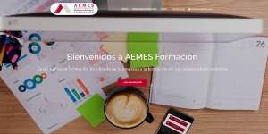 Aemes-web