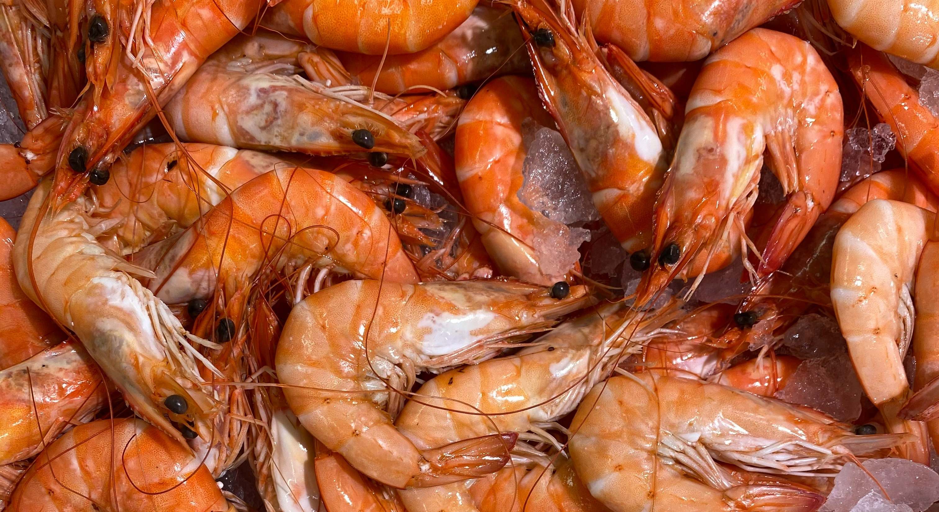 Los langostinos son un alimento típico del periodo navideño