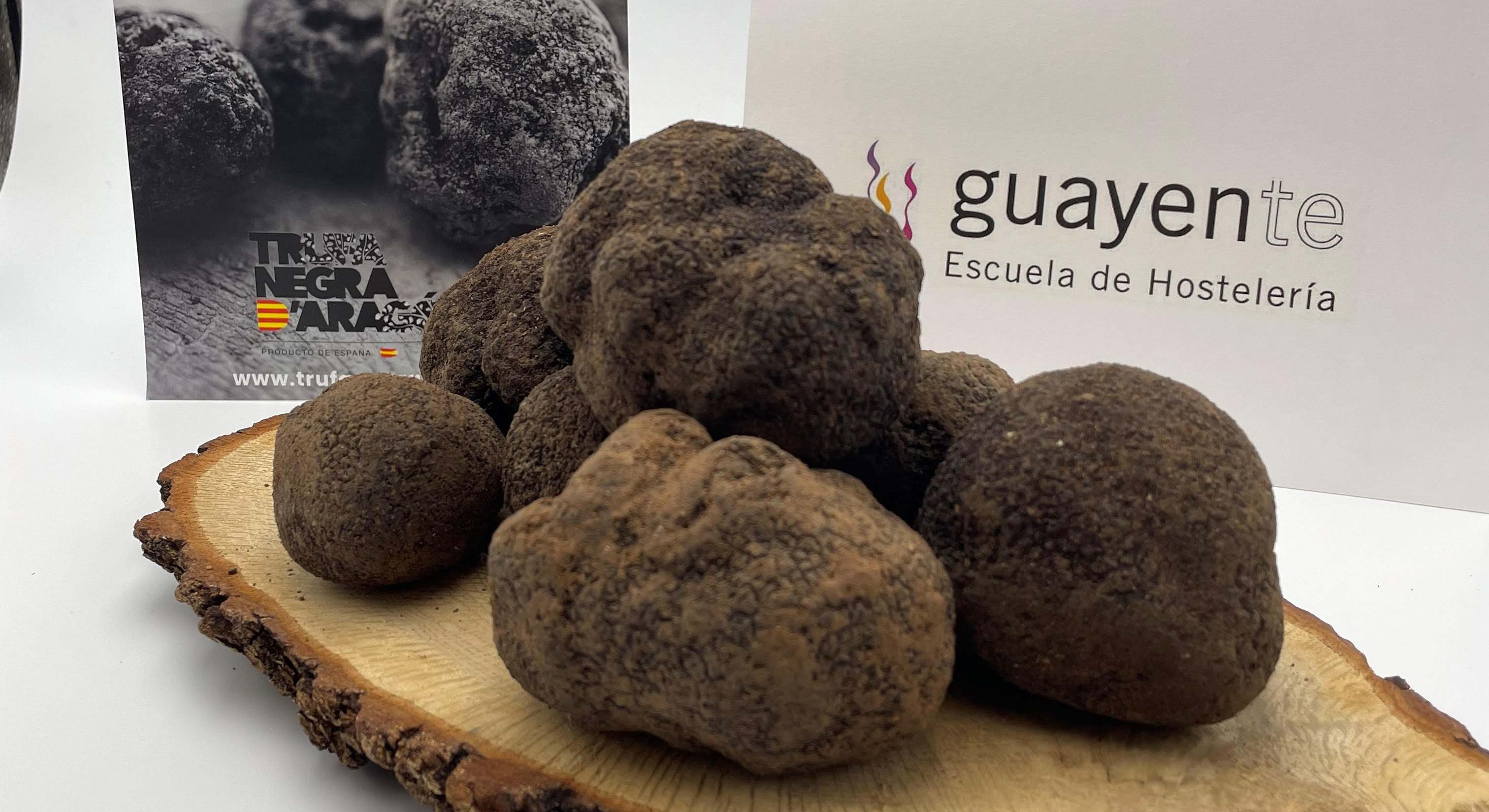 trufa negra aragon