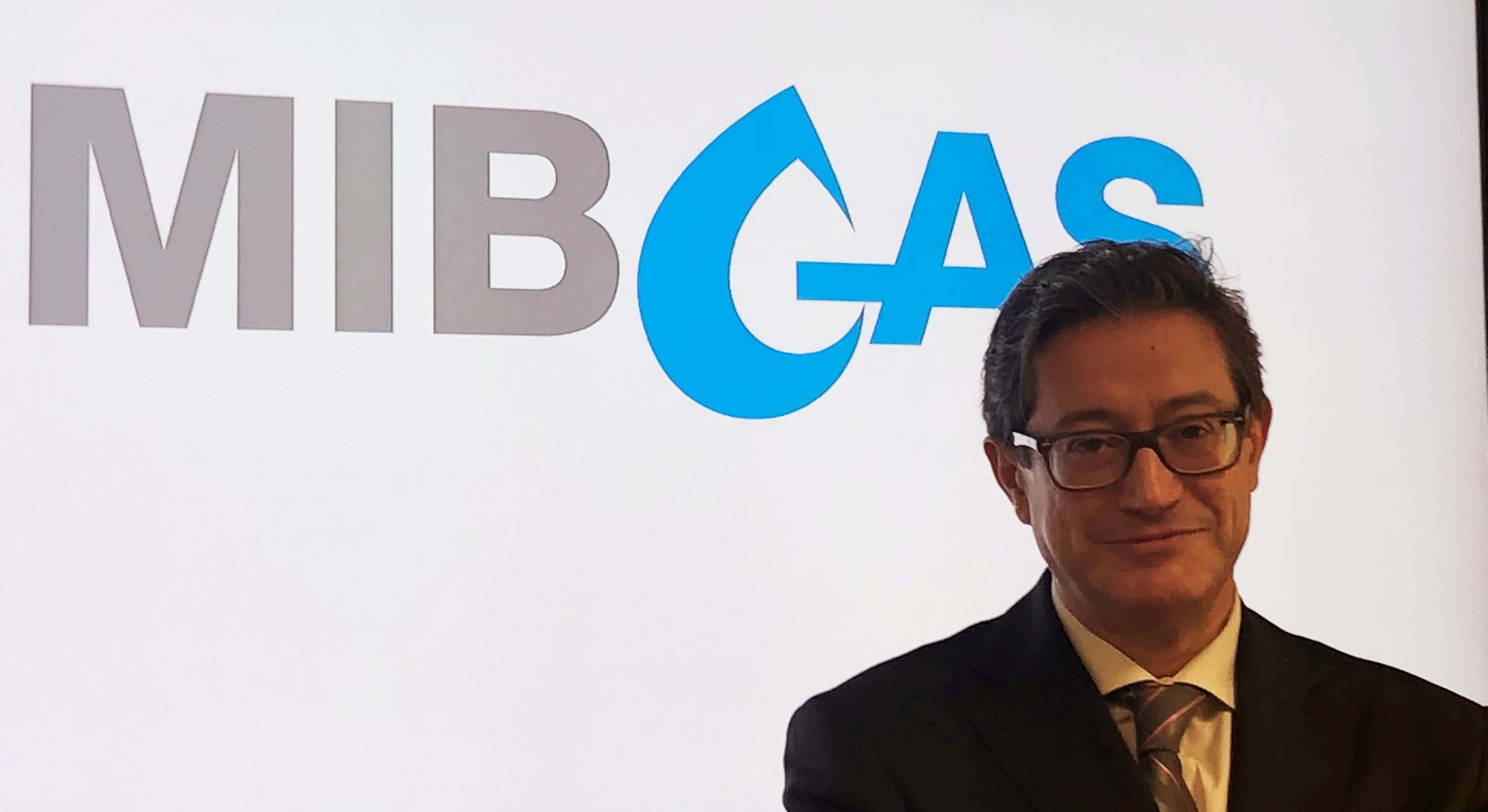 Raúl Yunta, presidente de Mibgas