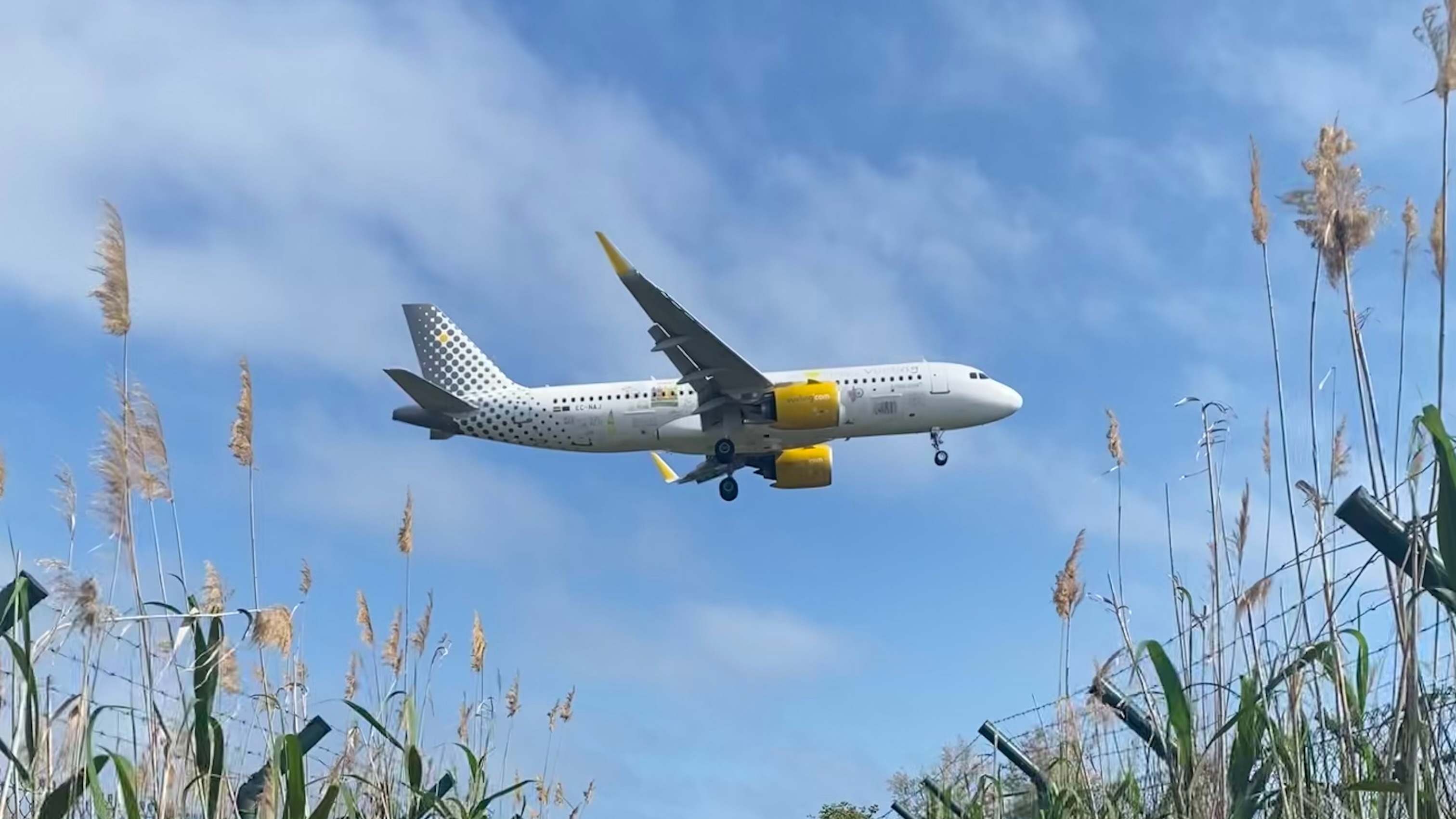 Avión en el cielo
