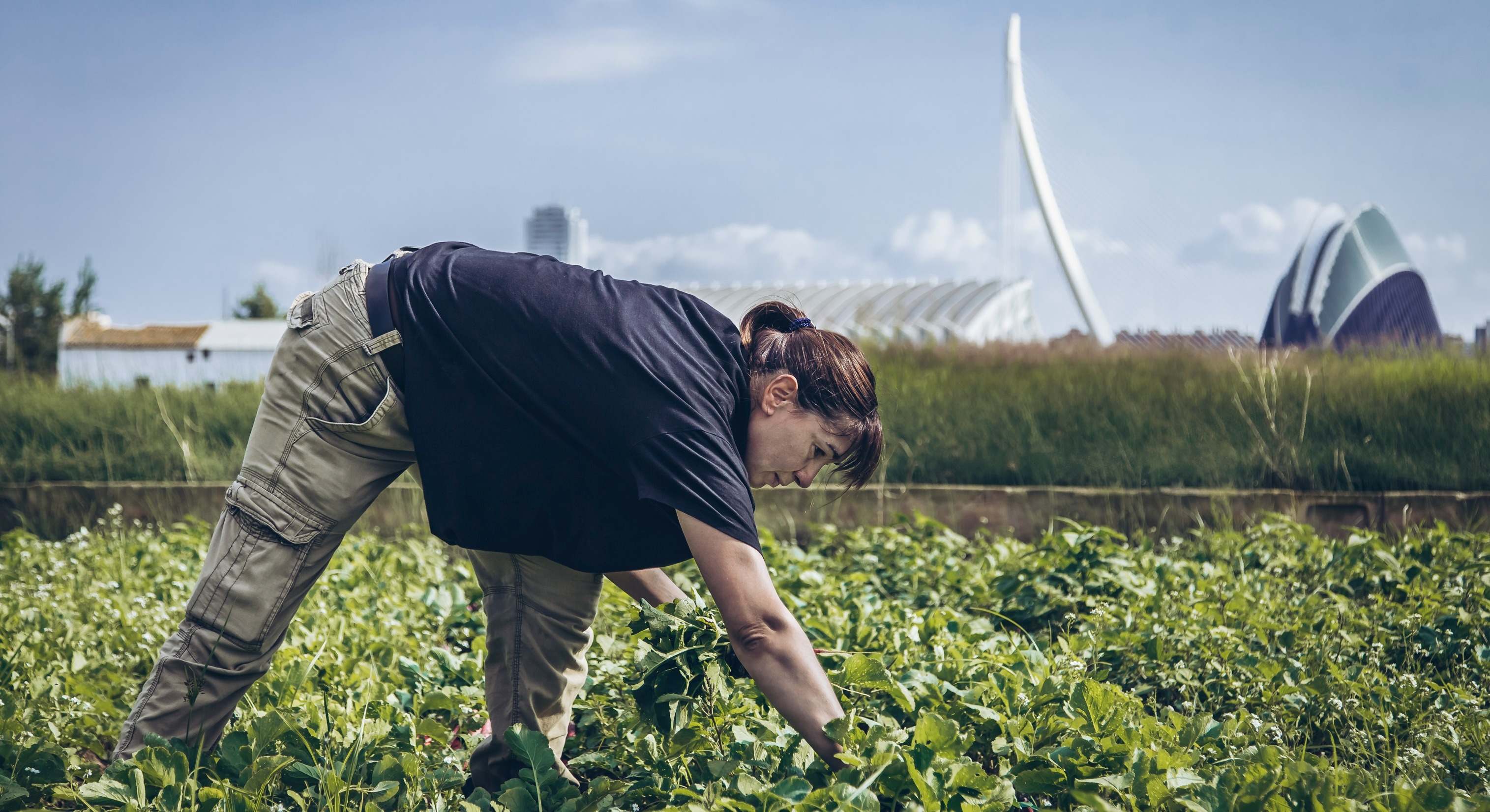 Una agricultora en uno de los campos de L'Horta de Valencia.