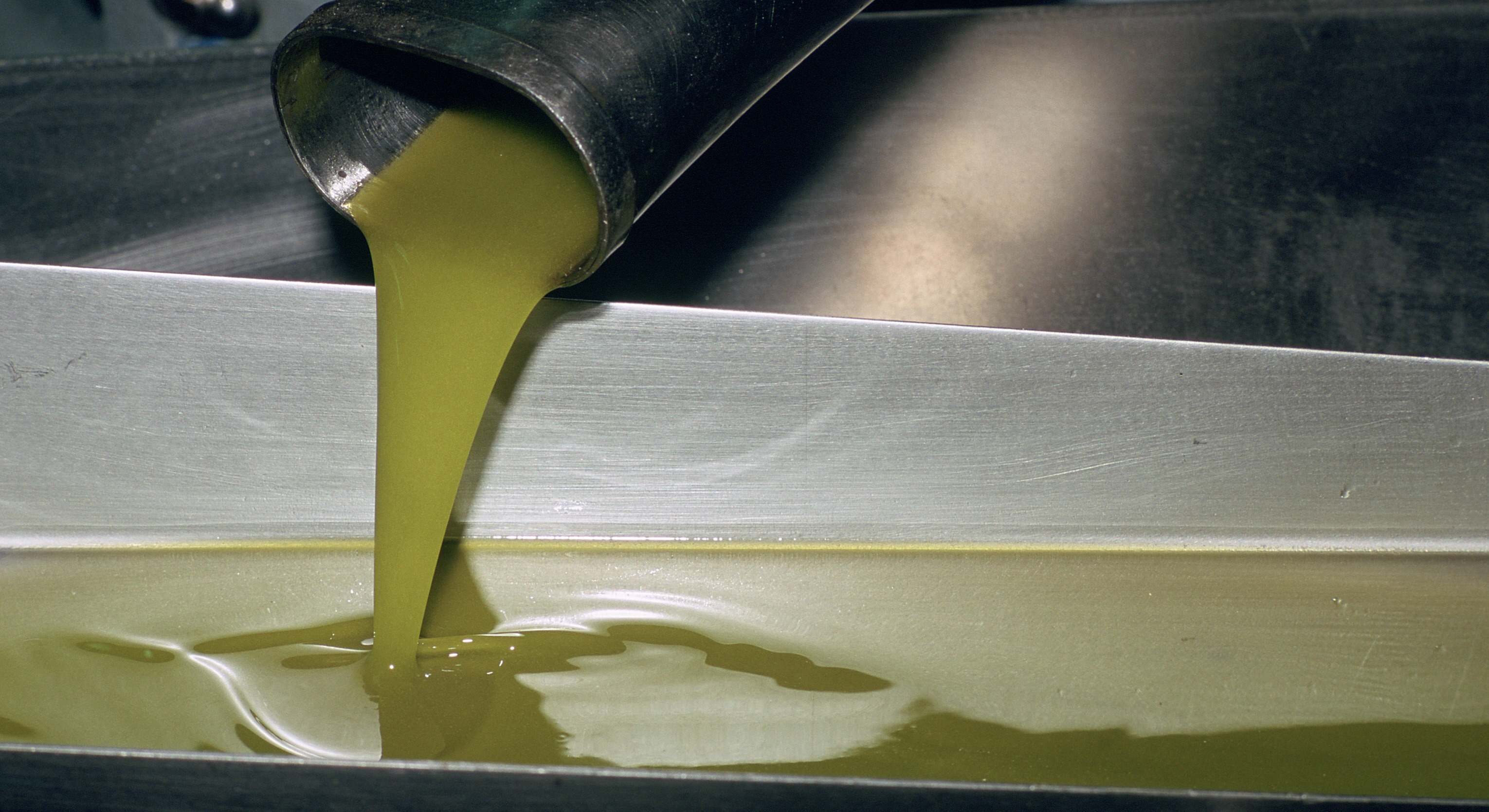 Aceite recién extraído en una almazara.