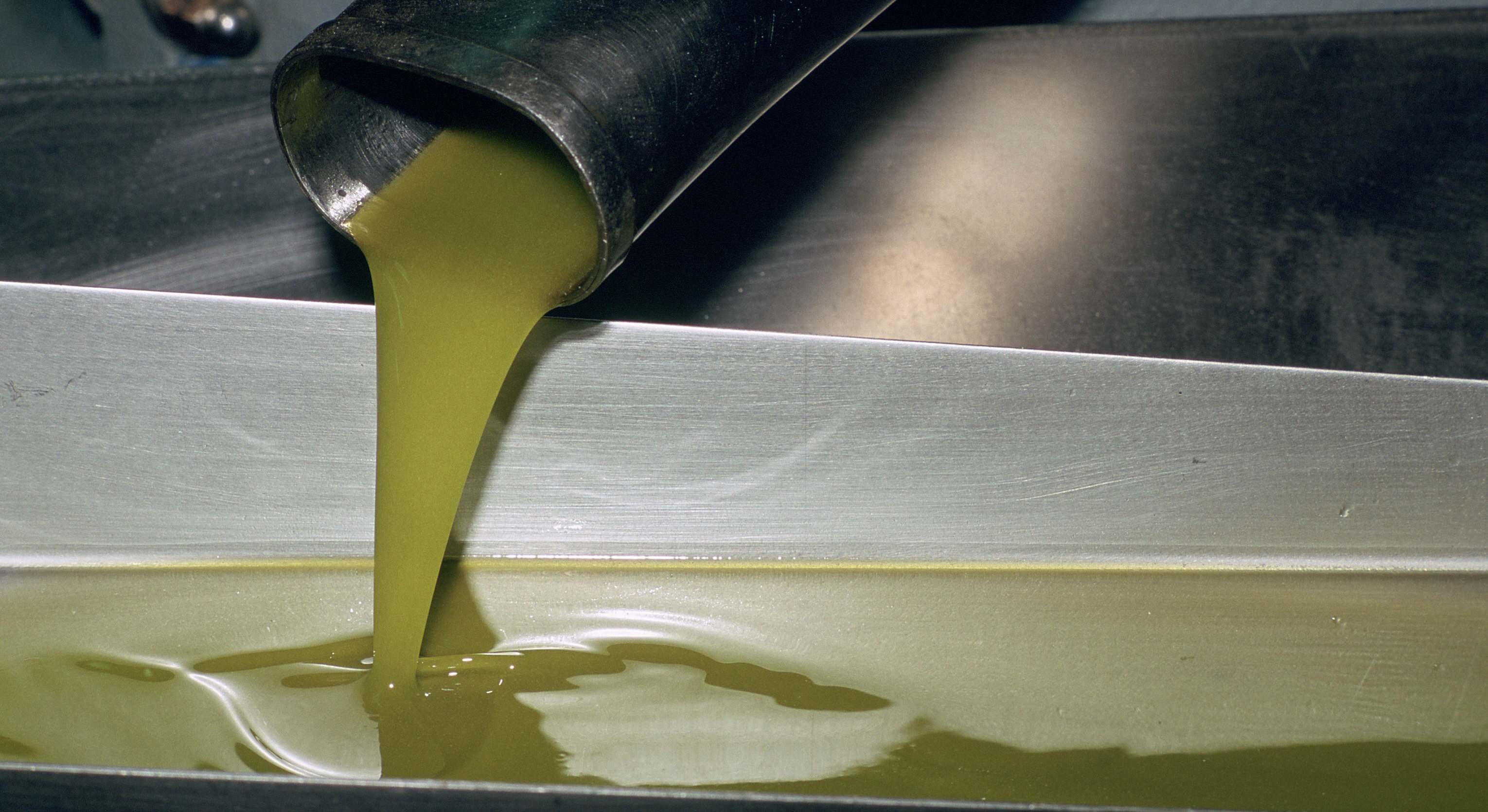 Aceite recién extraído en una almazara. Cooperativas Agro-alimentarias