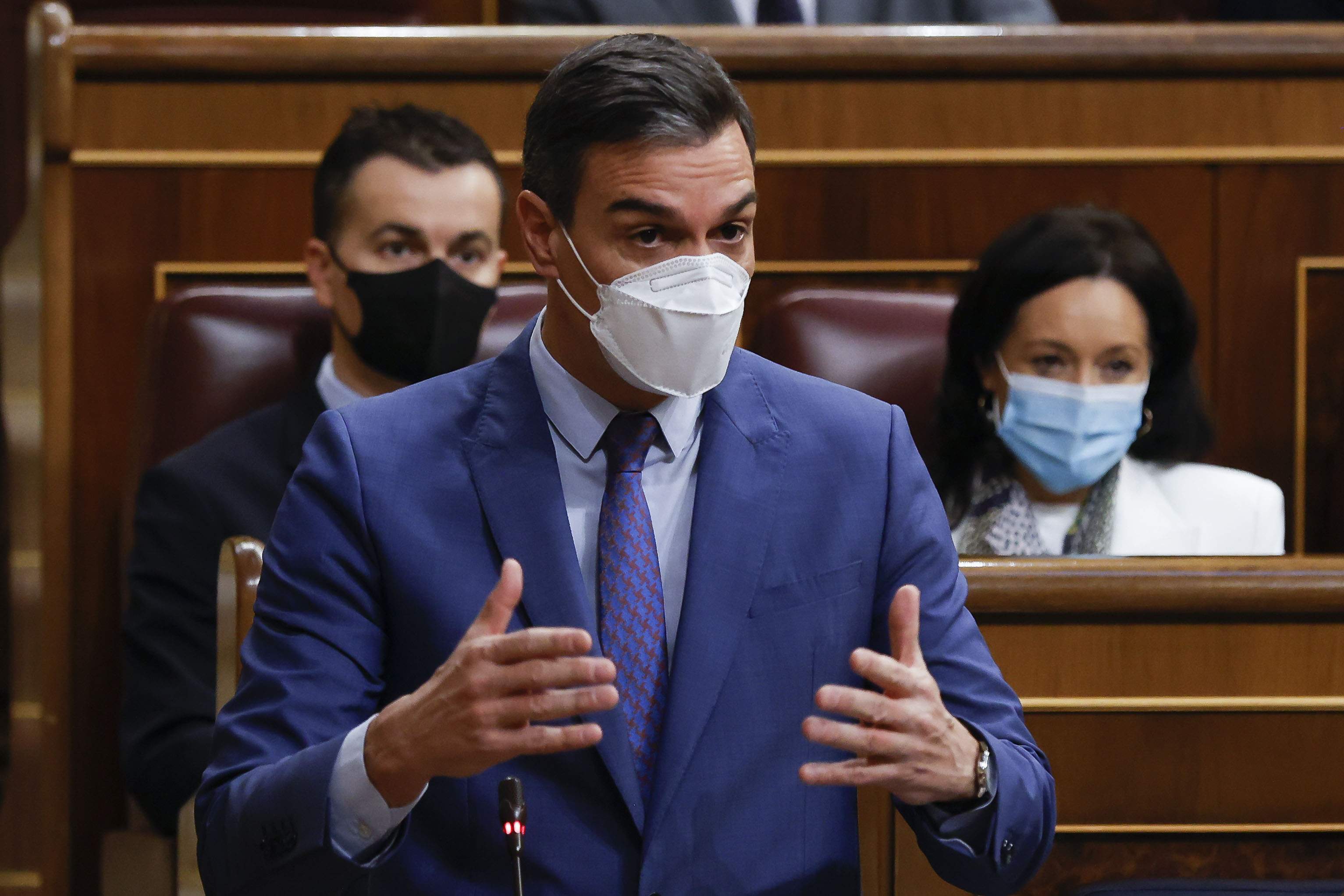 sanchez-congreso-luz.jpg