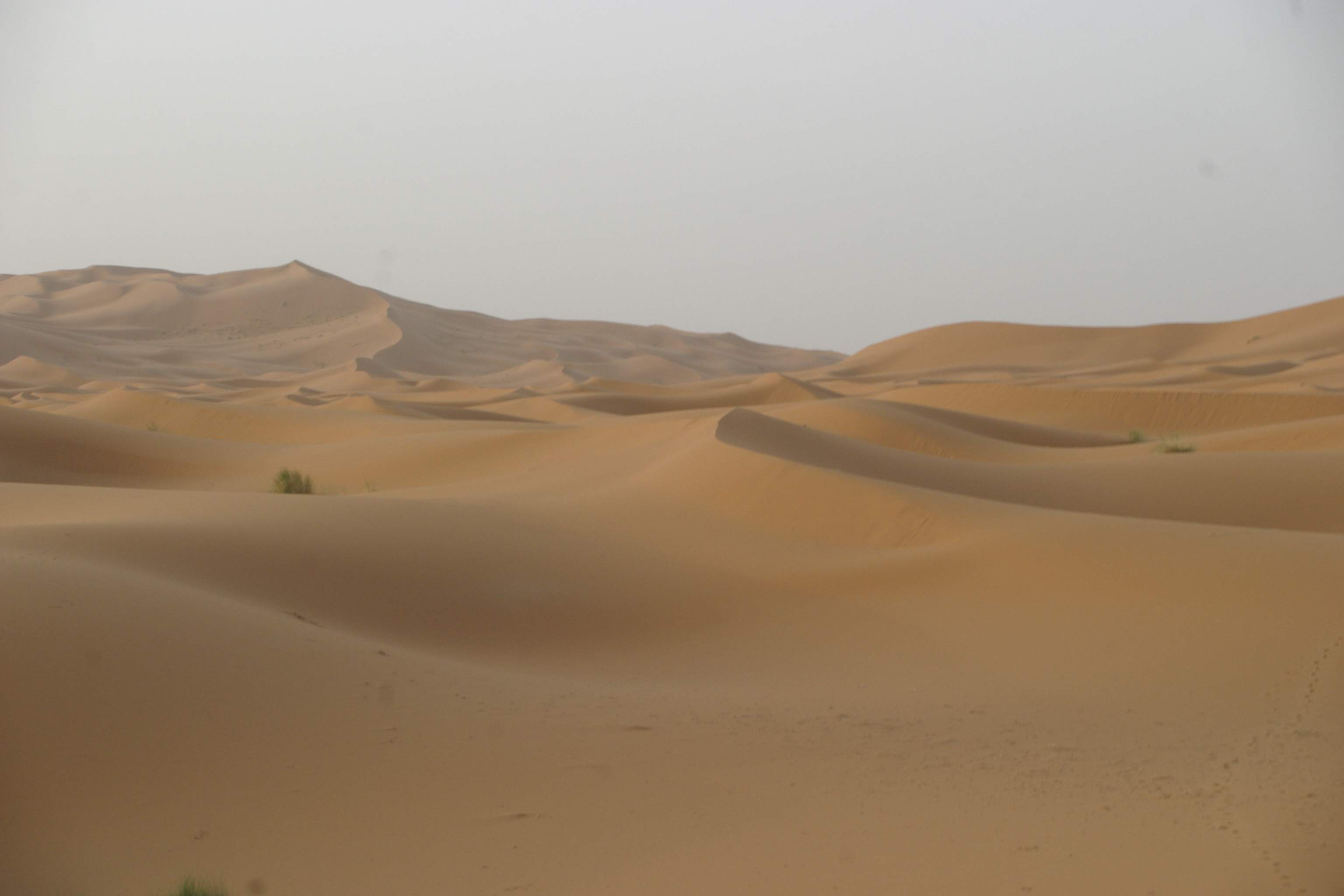 Desierto