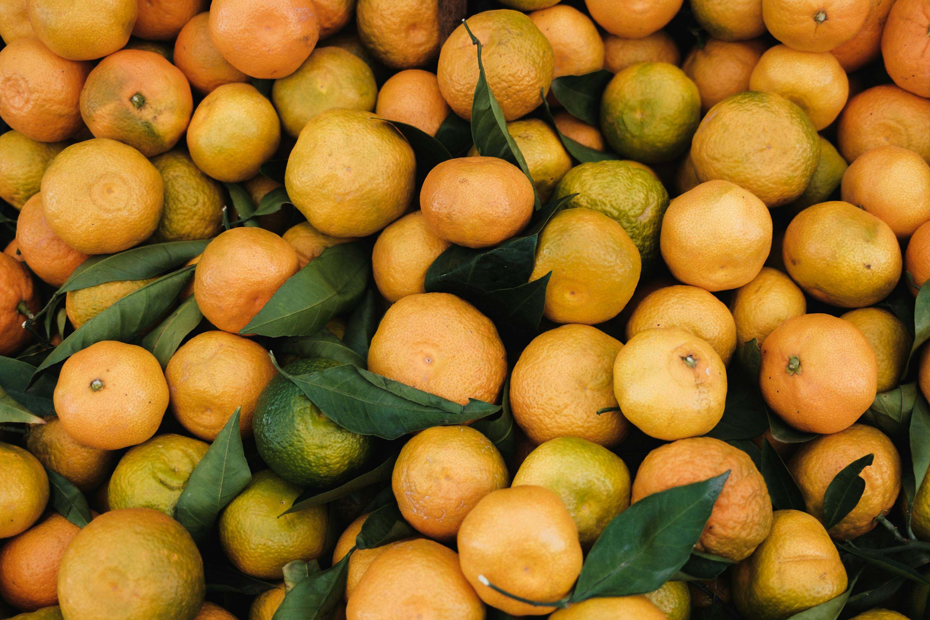 La mandarina es el fruto del mandarino