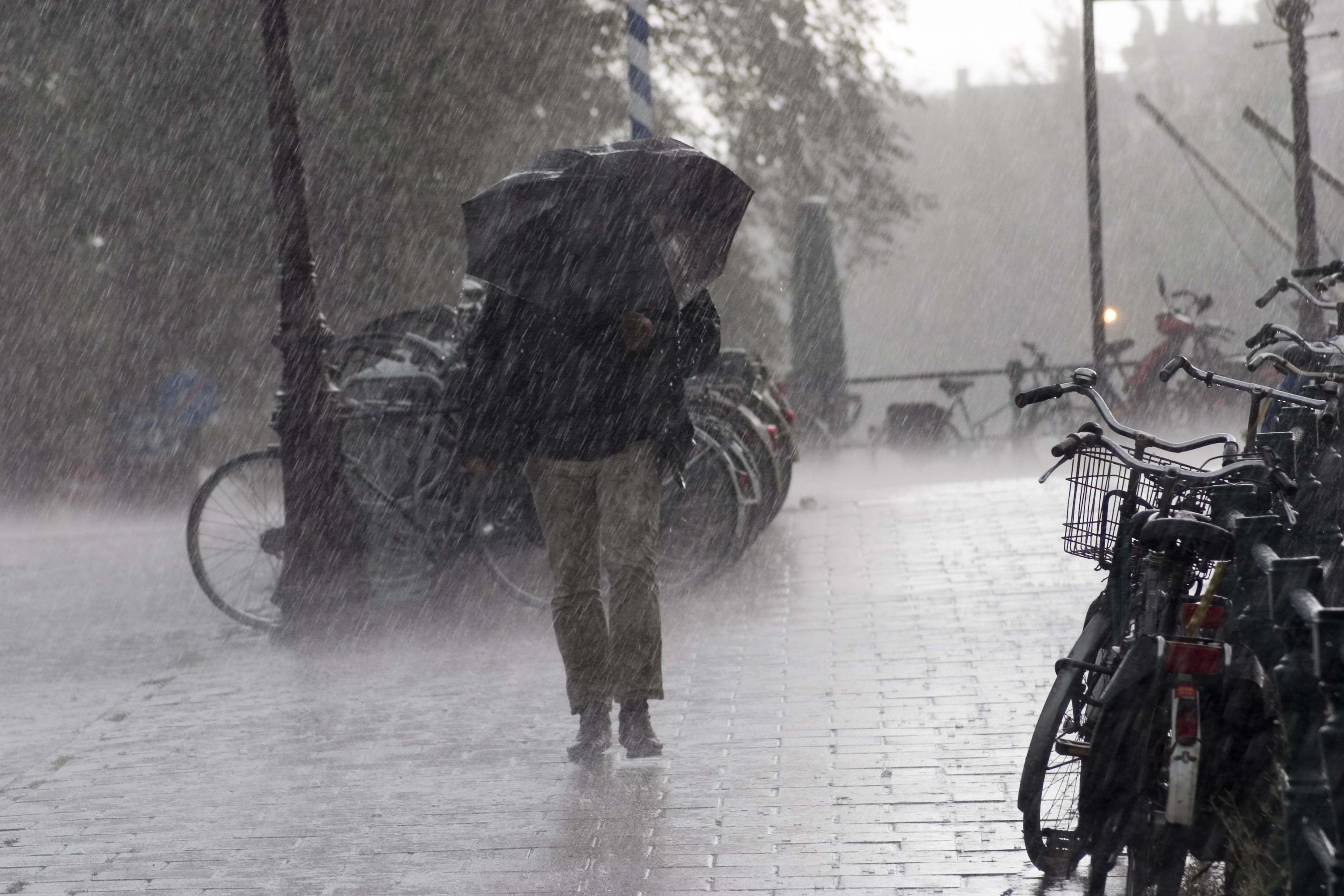 Fuertes lluvias