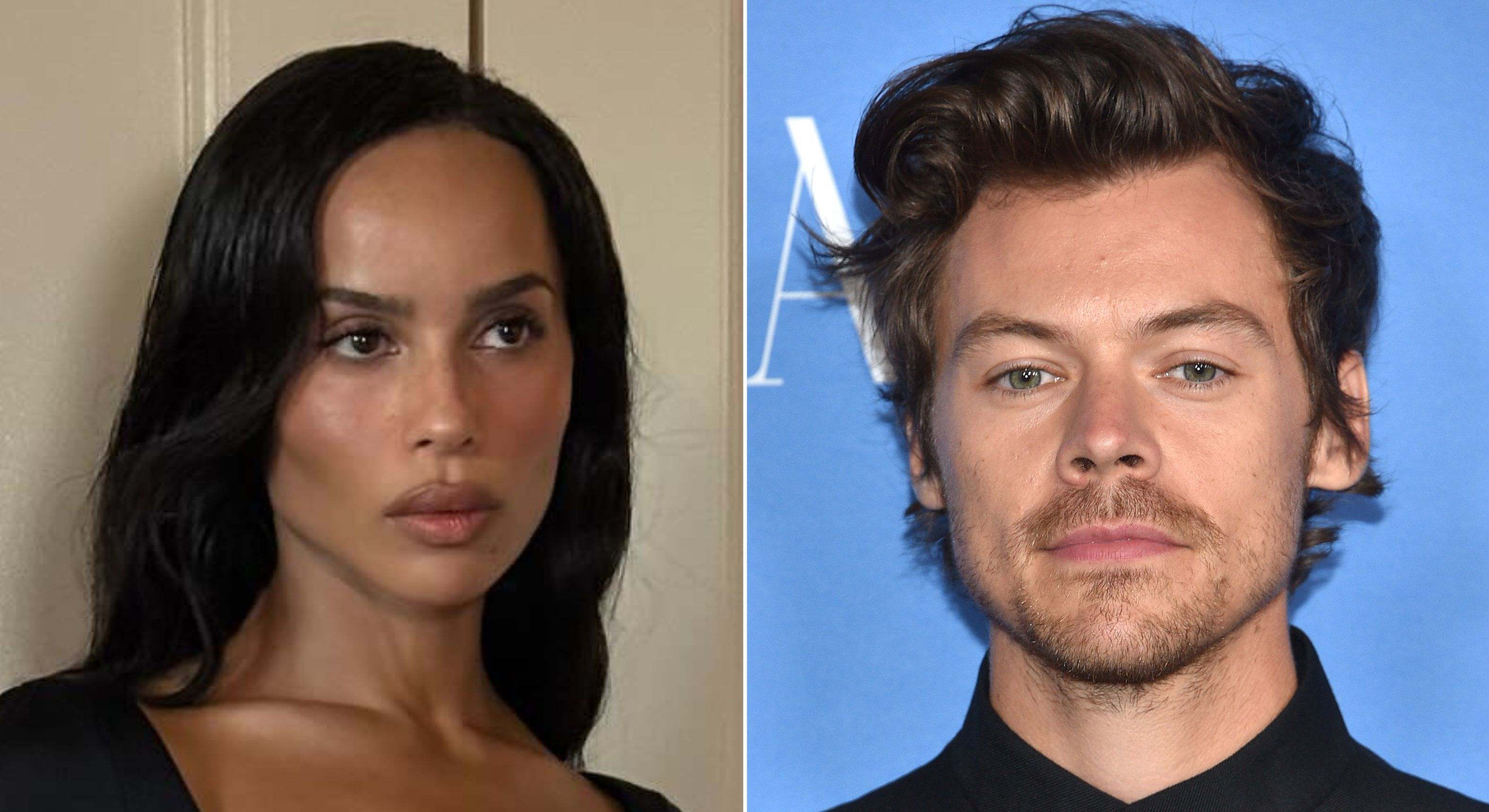  Zoe Kravitz / Harry Styles