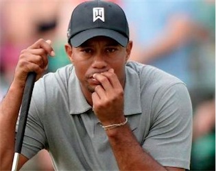 Tiger4