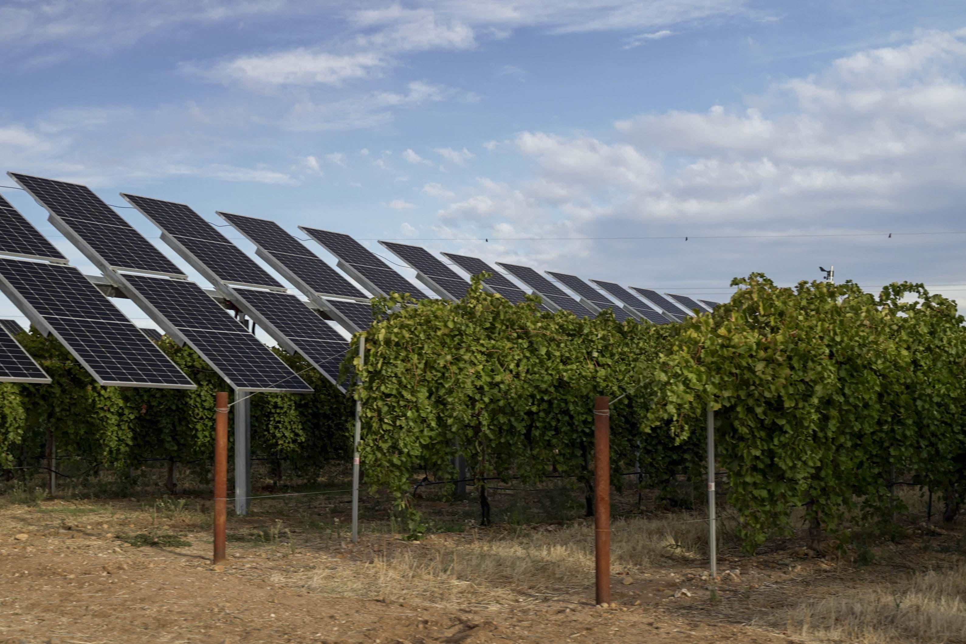 Paneles solares