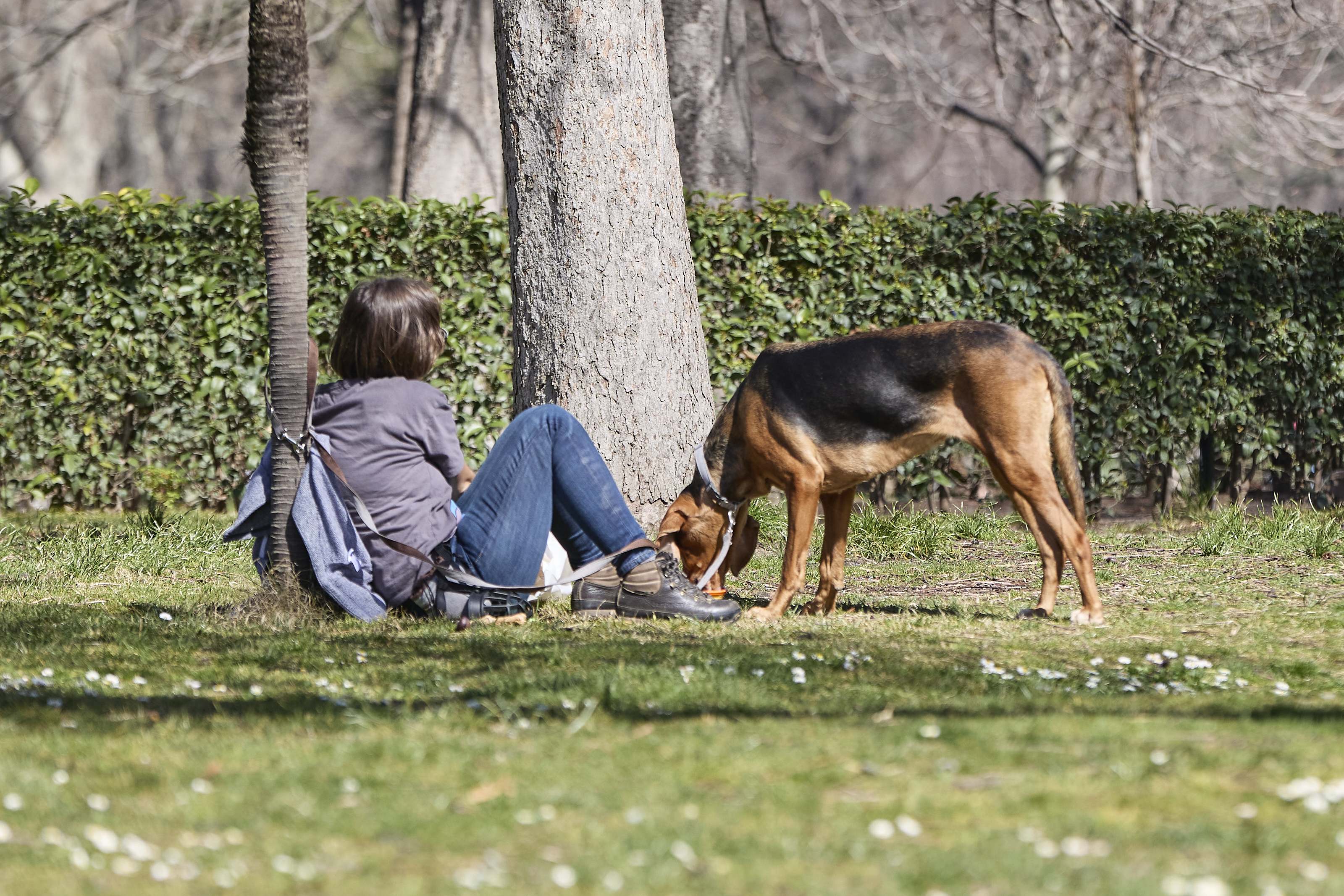 Imagen de una mujer junto a su perro en el Parque del Retiro, en Madrid.
