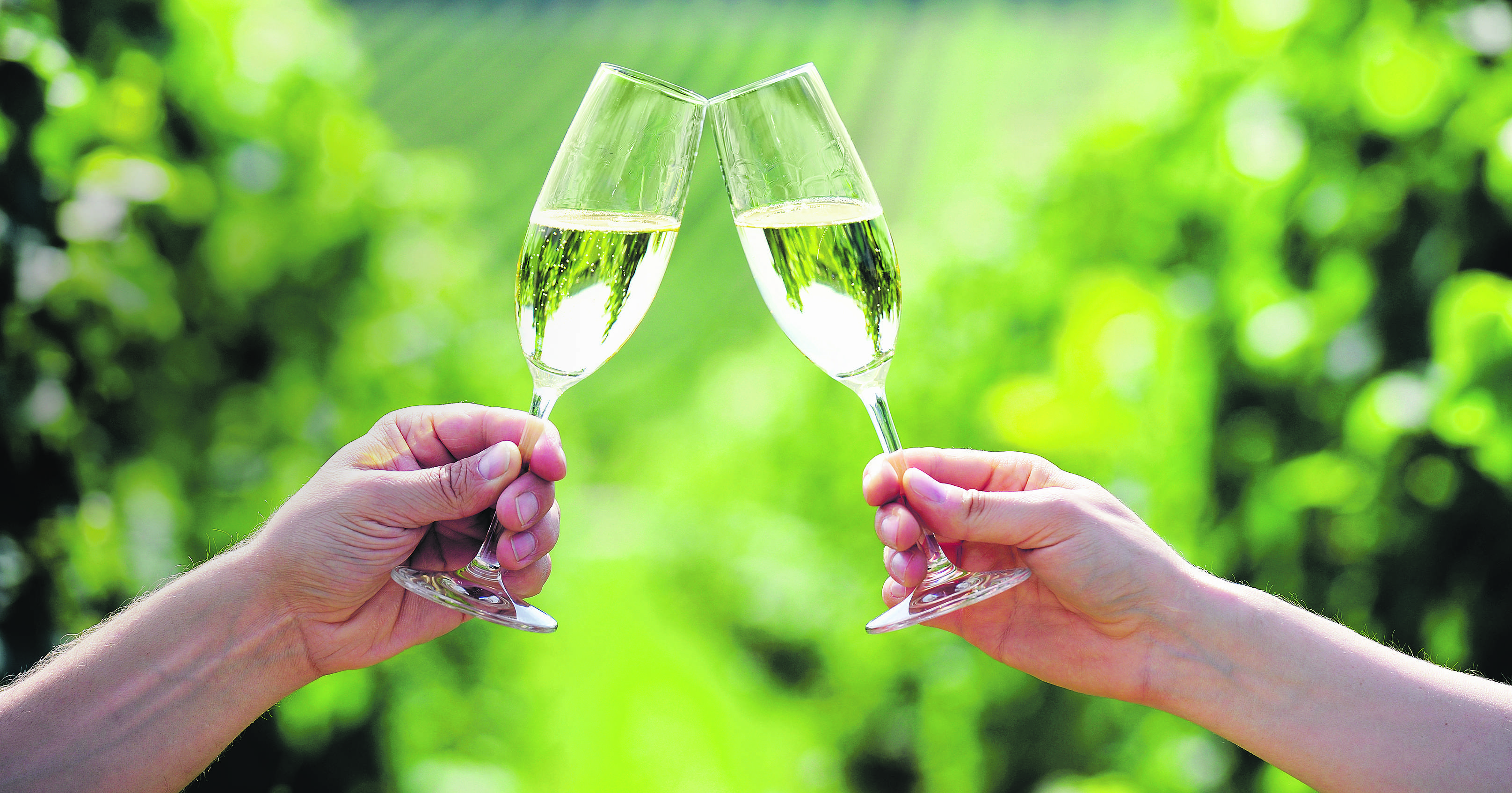 Dos copas de cava en viñedo