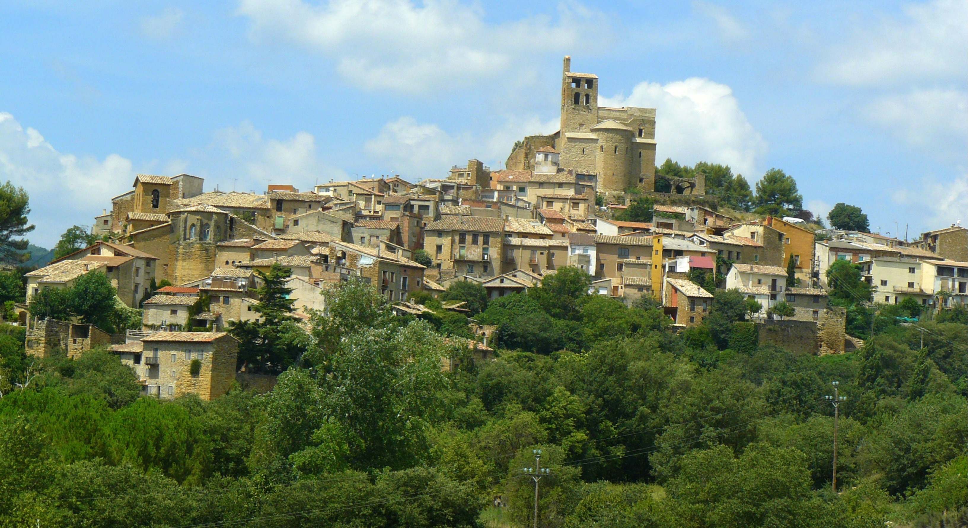 Áger la villa en lleida rodeado de bosque