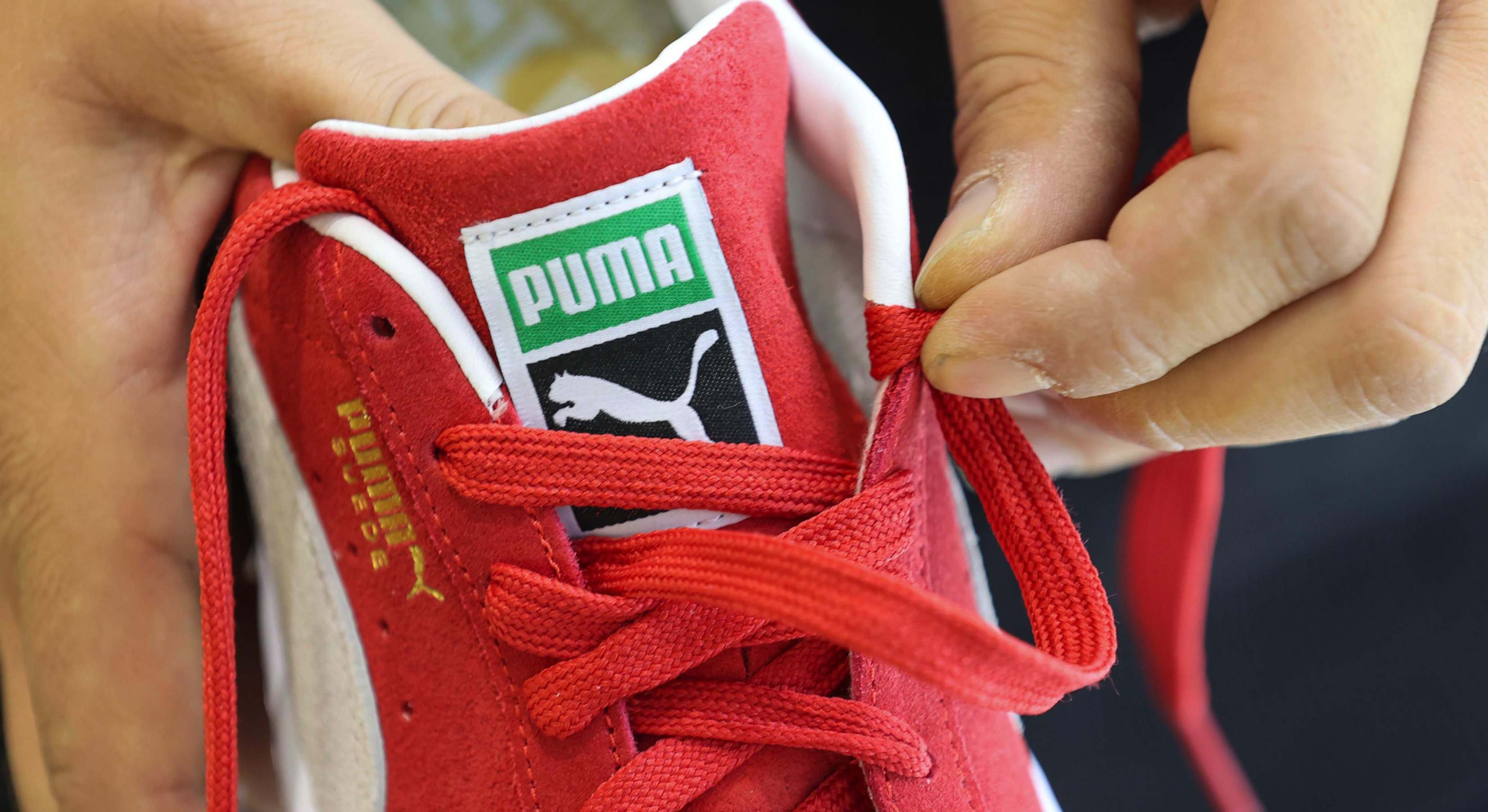 puma inversion