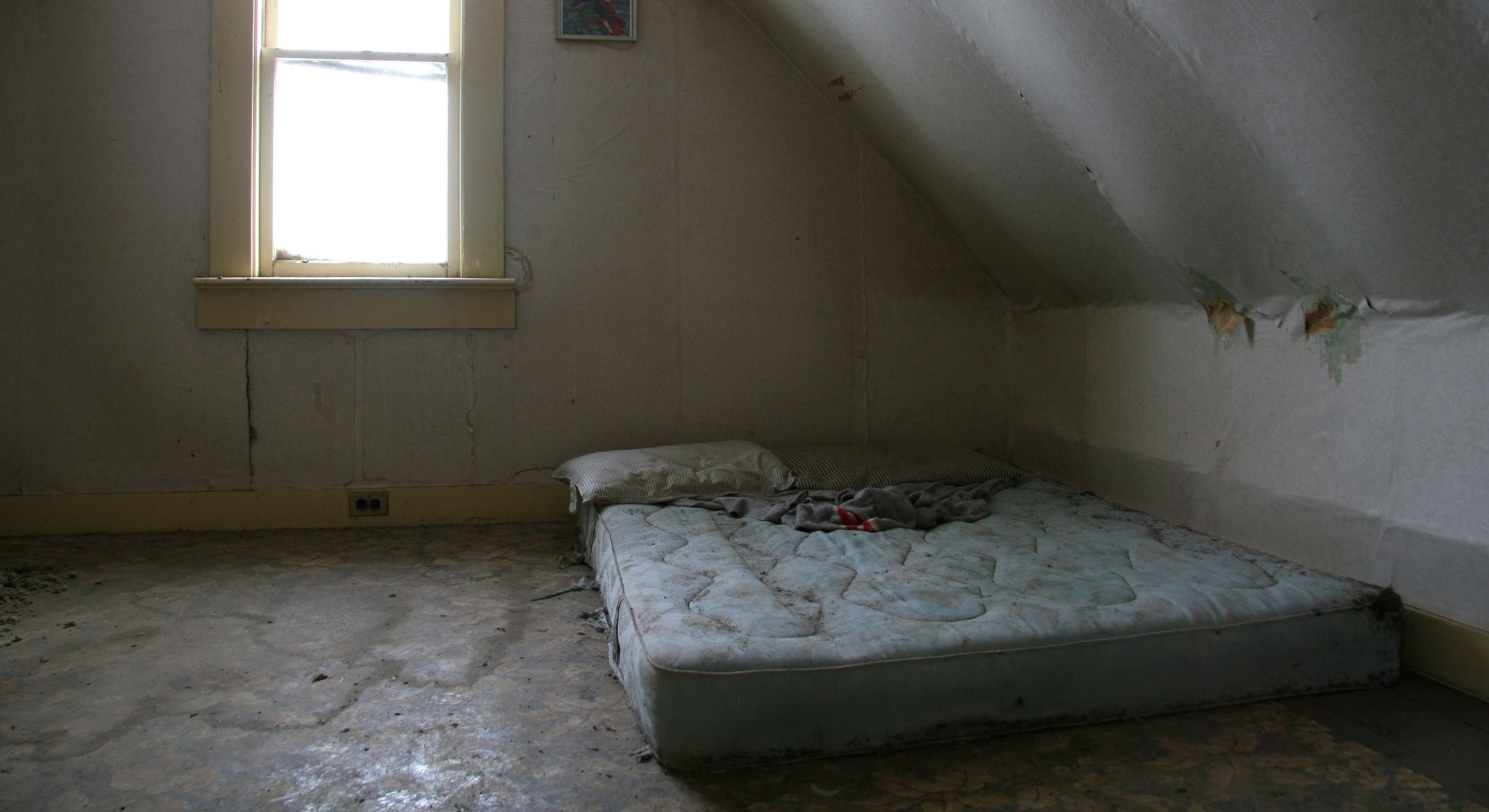 Habitación insalubre