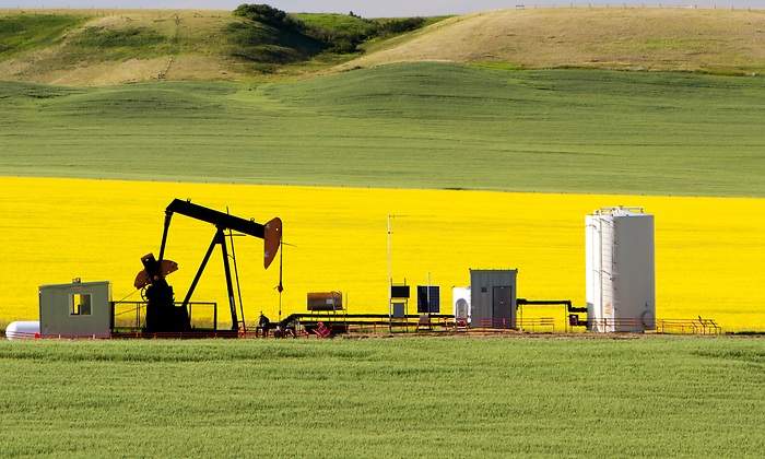 colza-bomba-petroleo.jpg
