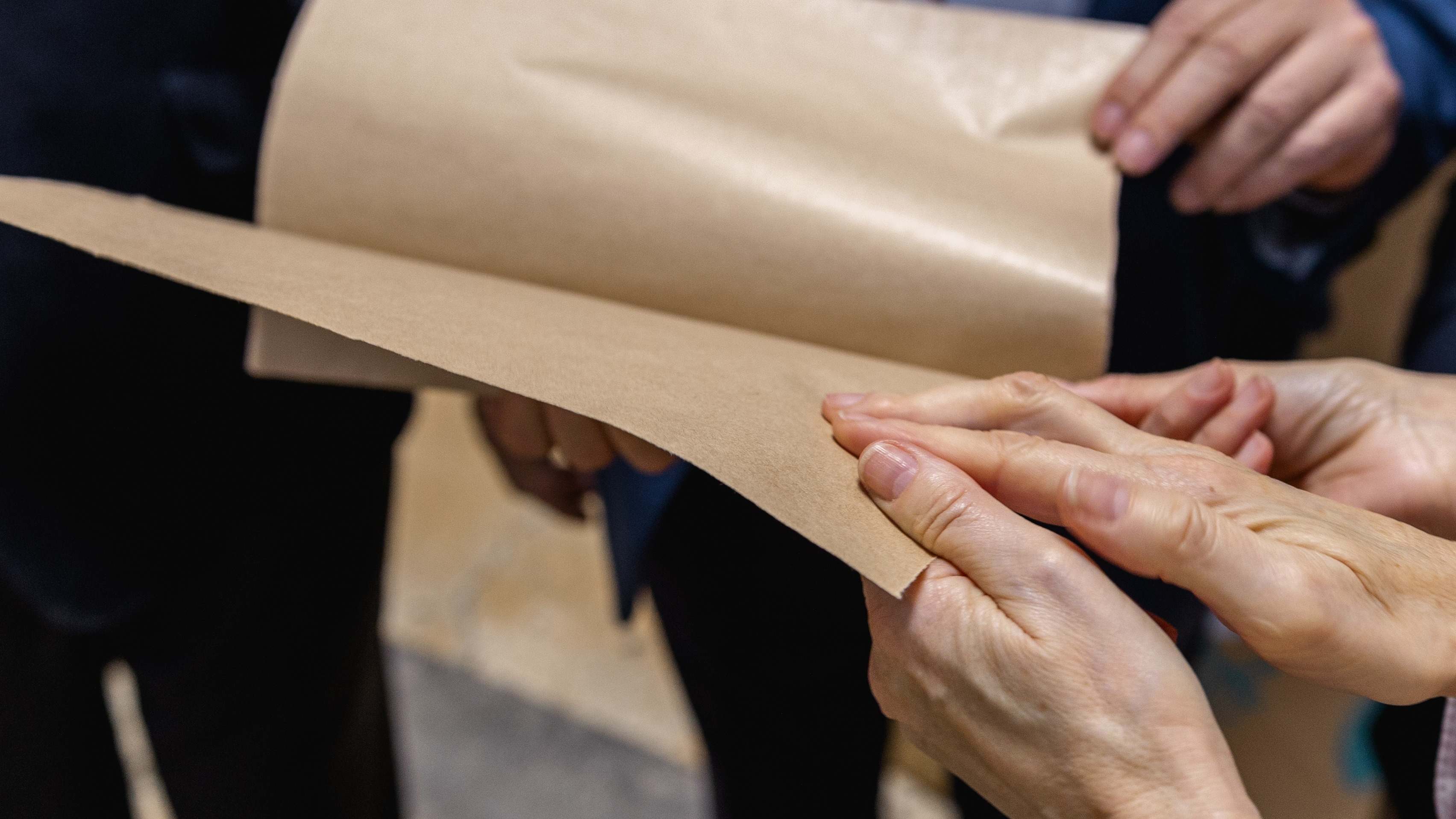 Papel procedente de sarmiento de vid economía cricular