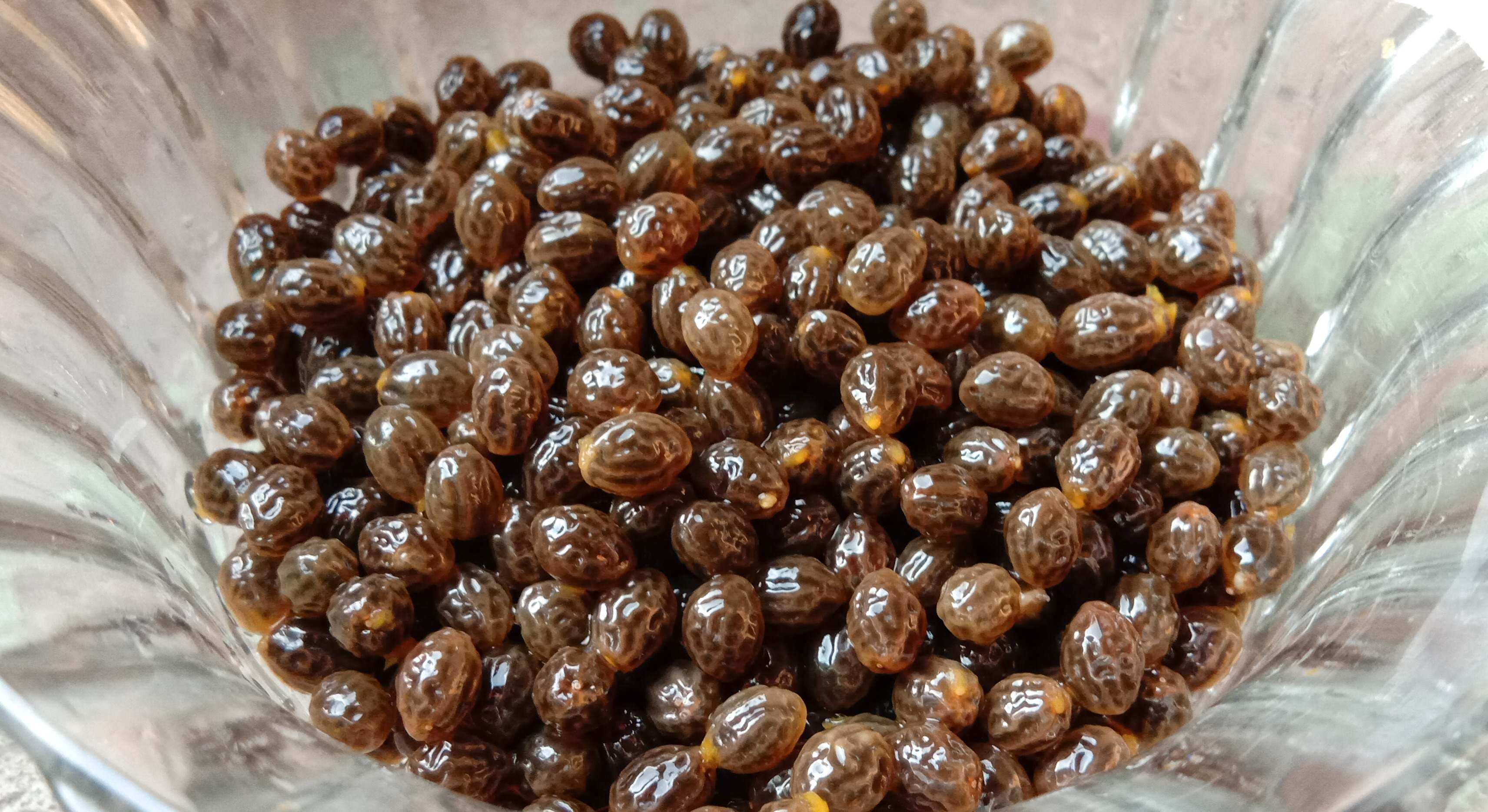 Cuenco con semillas de papaya