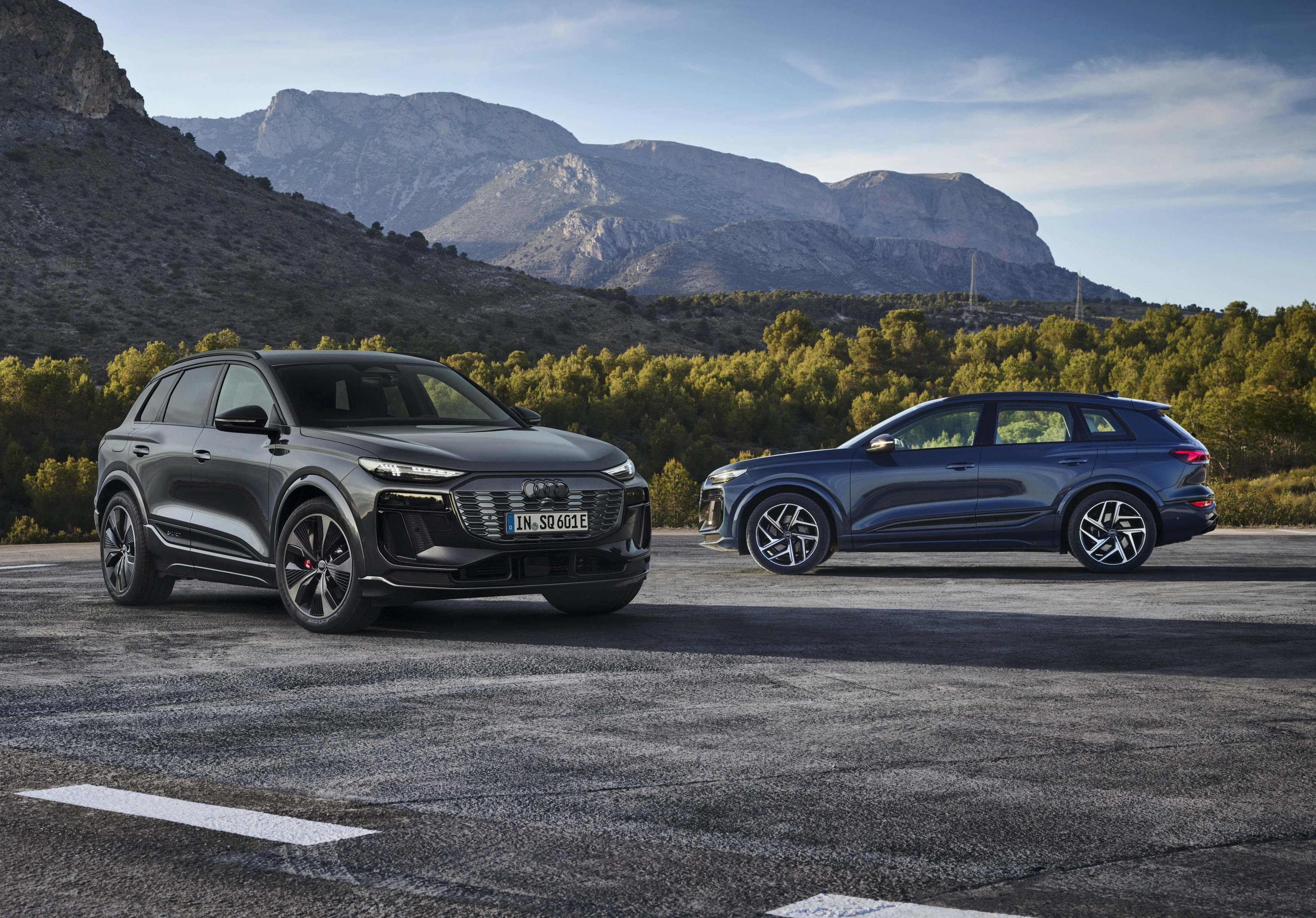 Audi Q6