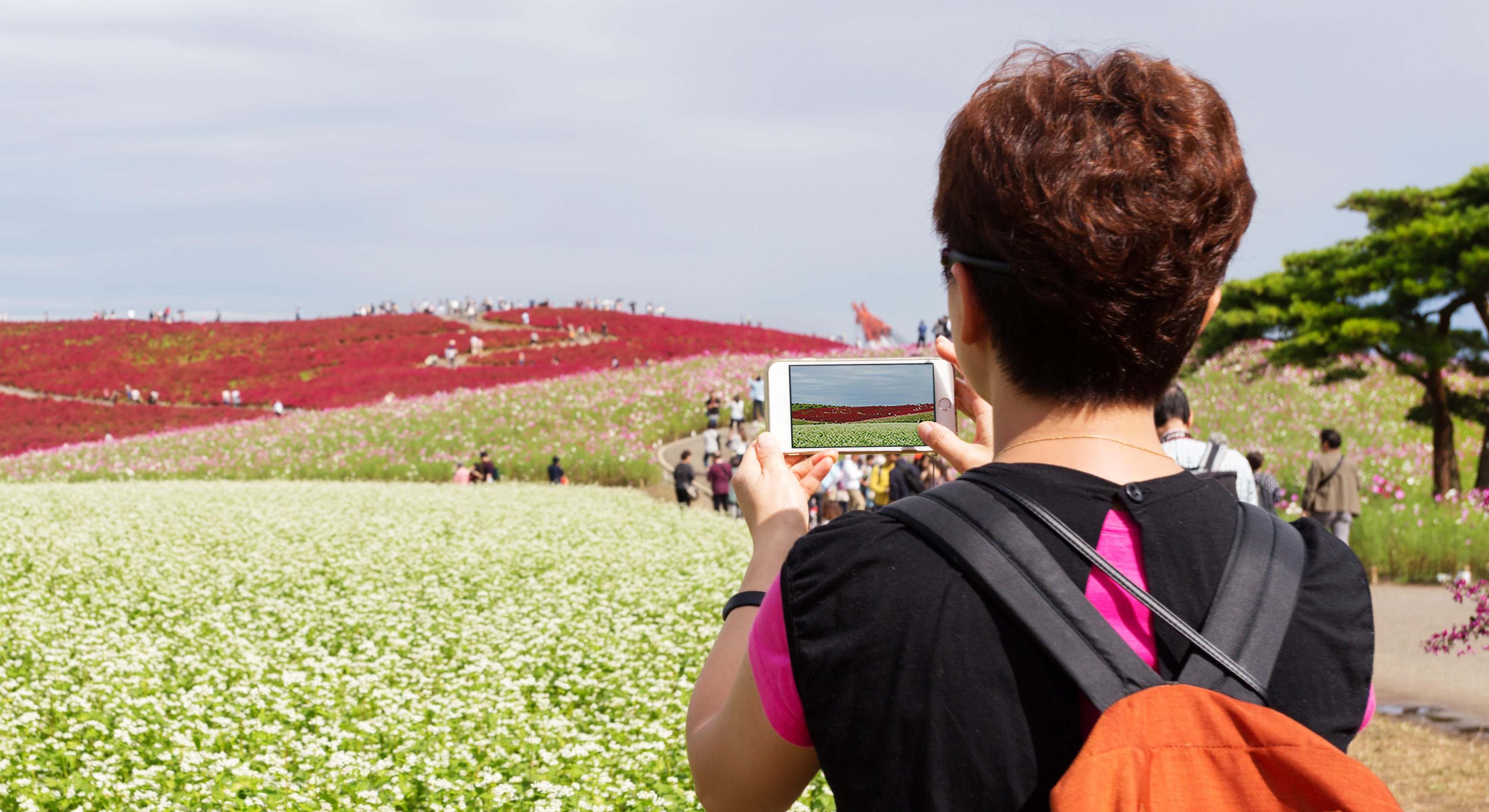 Mujer fotografiando