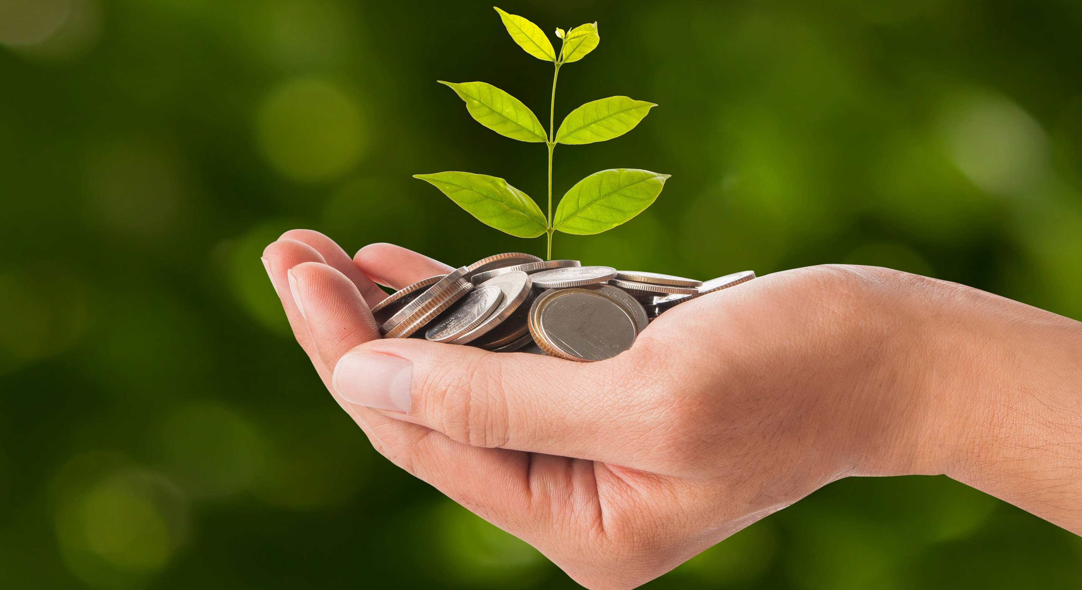 Para que sirven los criterios ESG empresariales