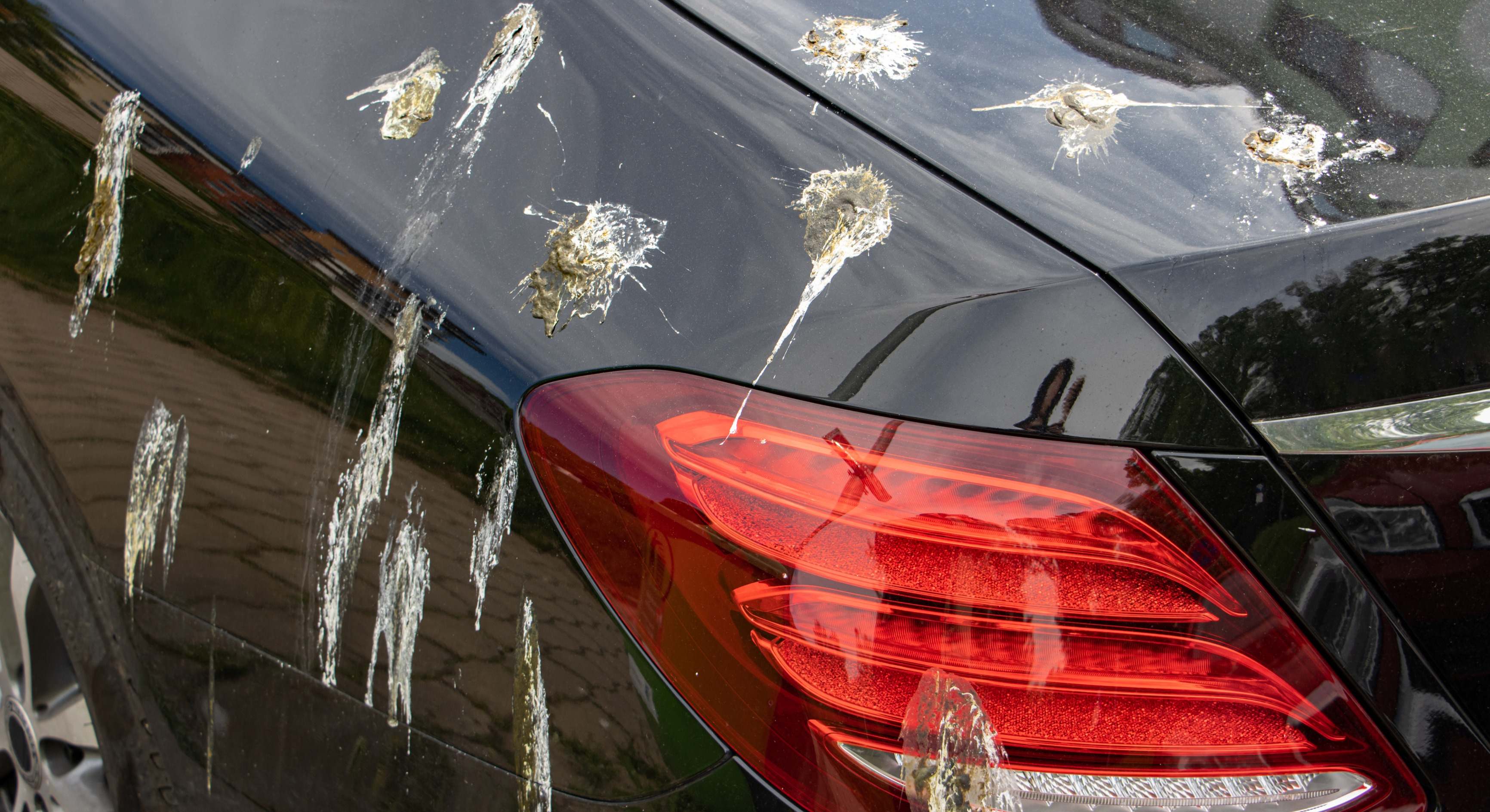 El capó de un coche que está sucio por los excrementos de pájaro
