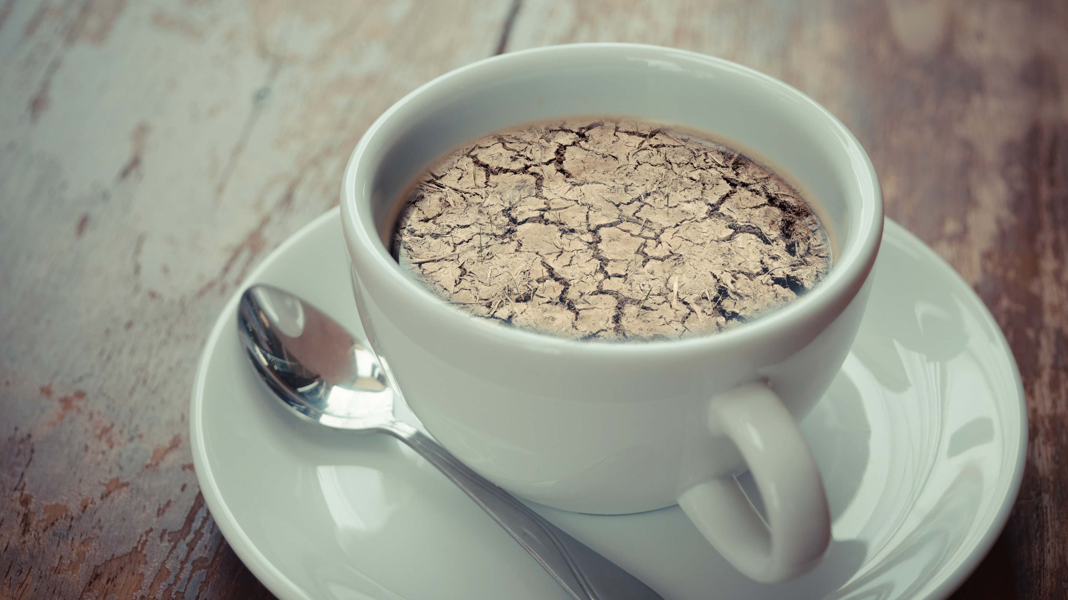 Una taza de café que contiene tierra seca
