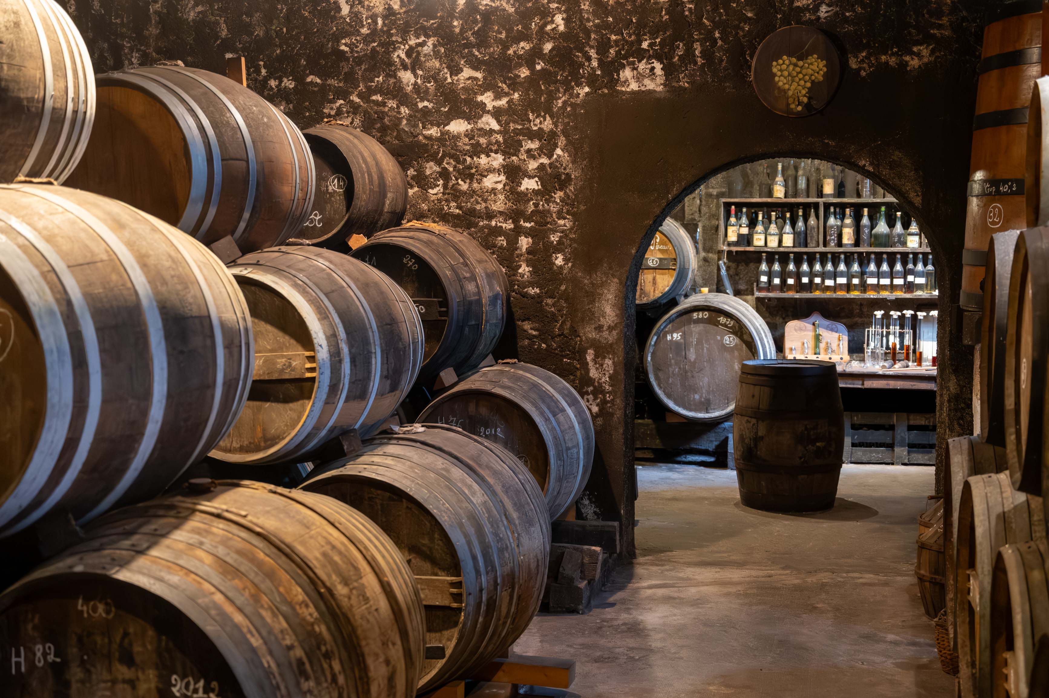 bodega-vinos-dreamstime