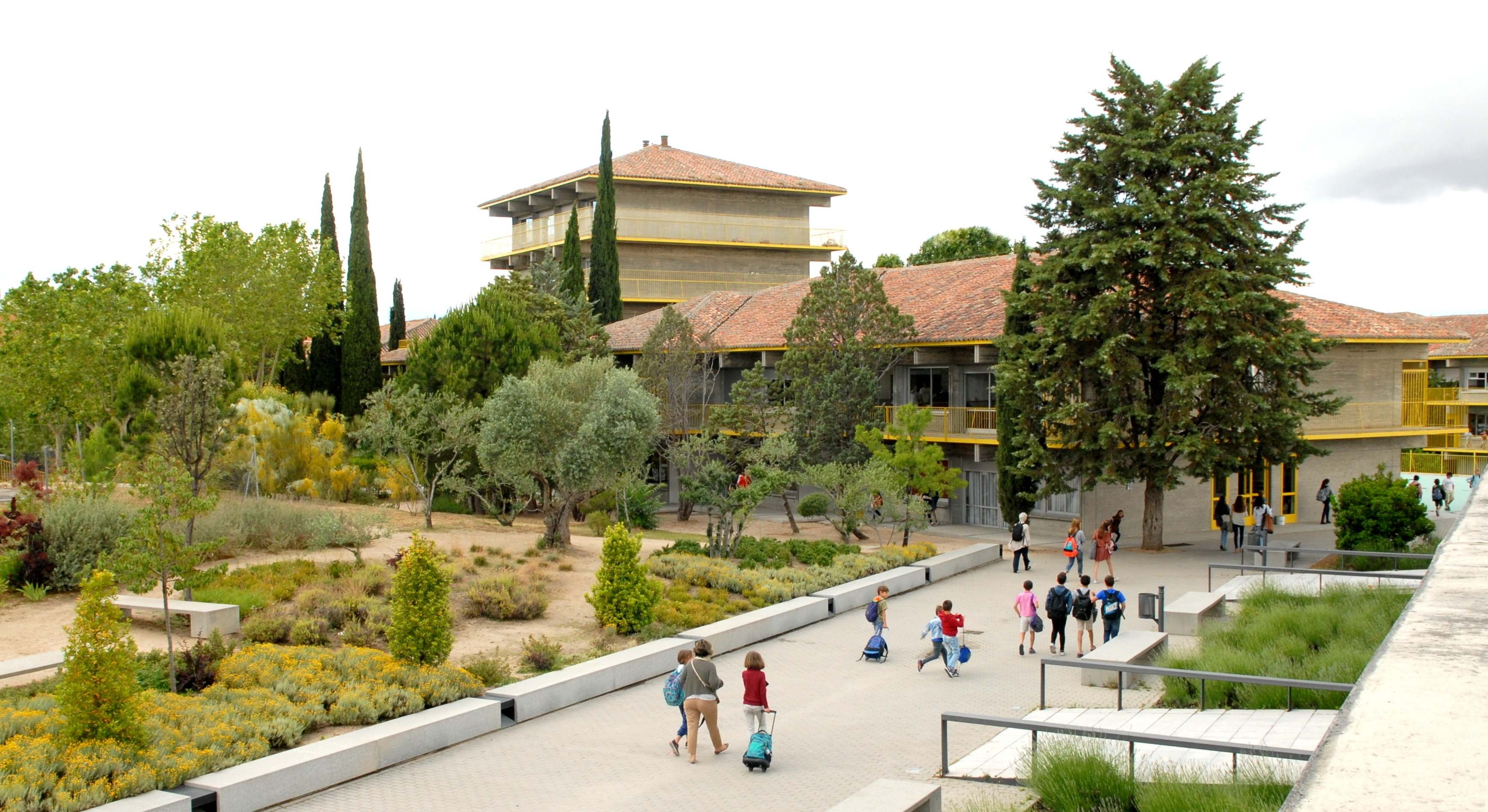 Colegio Estudio