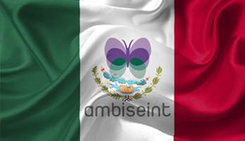 Ambiseint.jpg