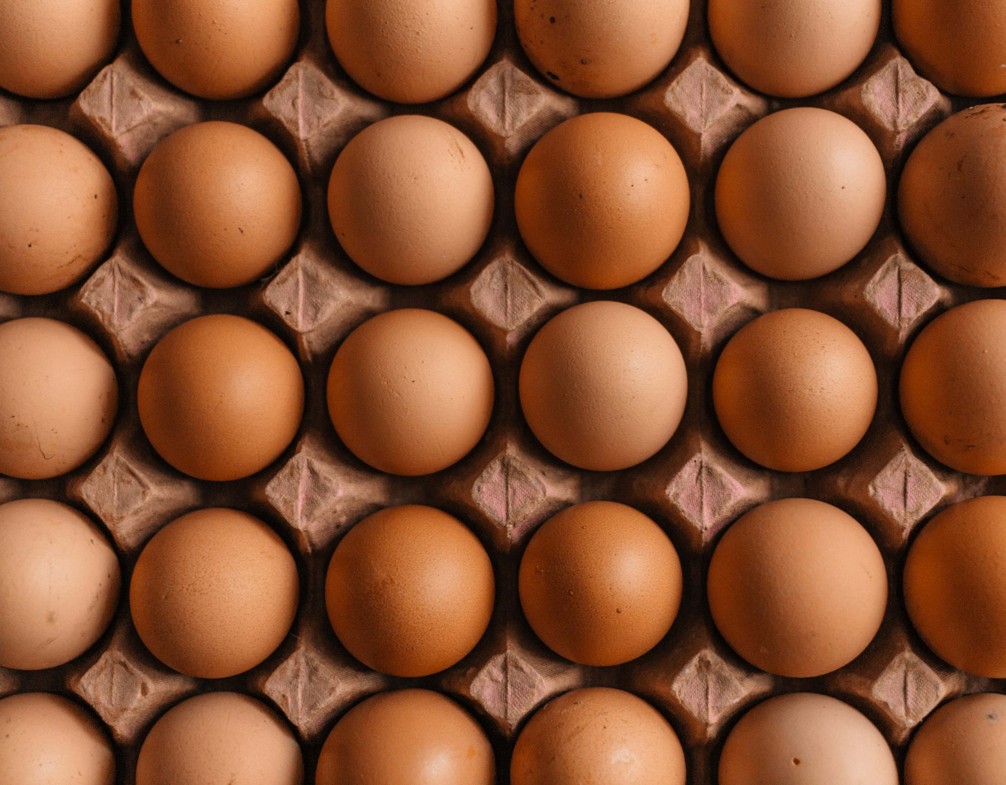 El huevo es un alimento bastante nutritivo