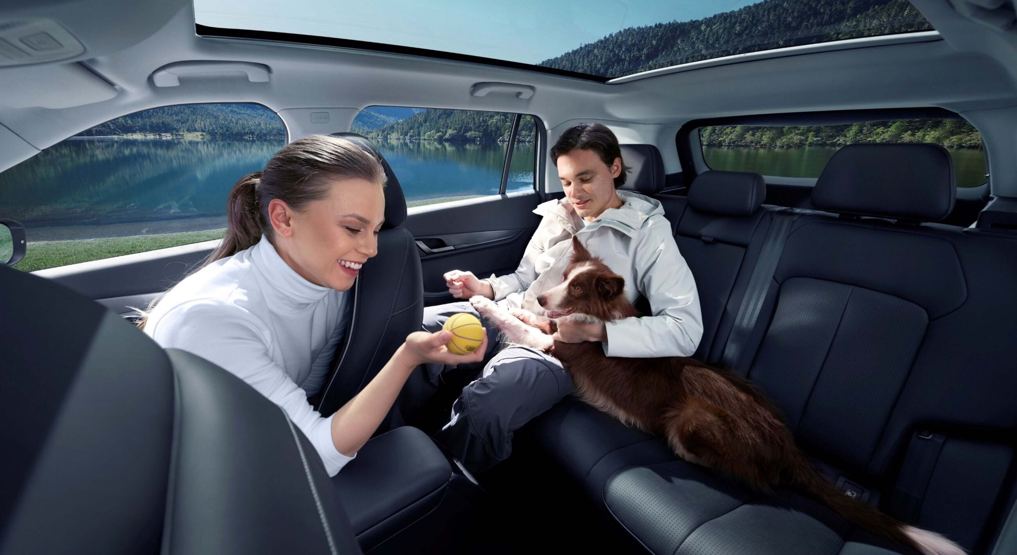 Mascotas que se marean en el coche