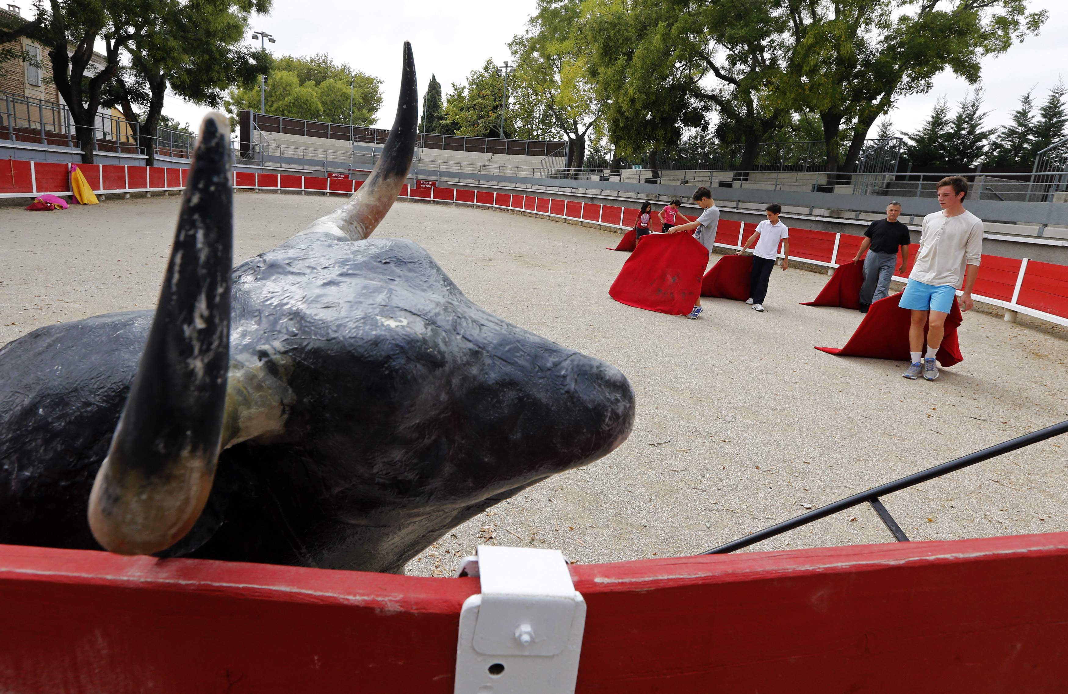 tauromaquia.jpg