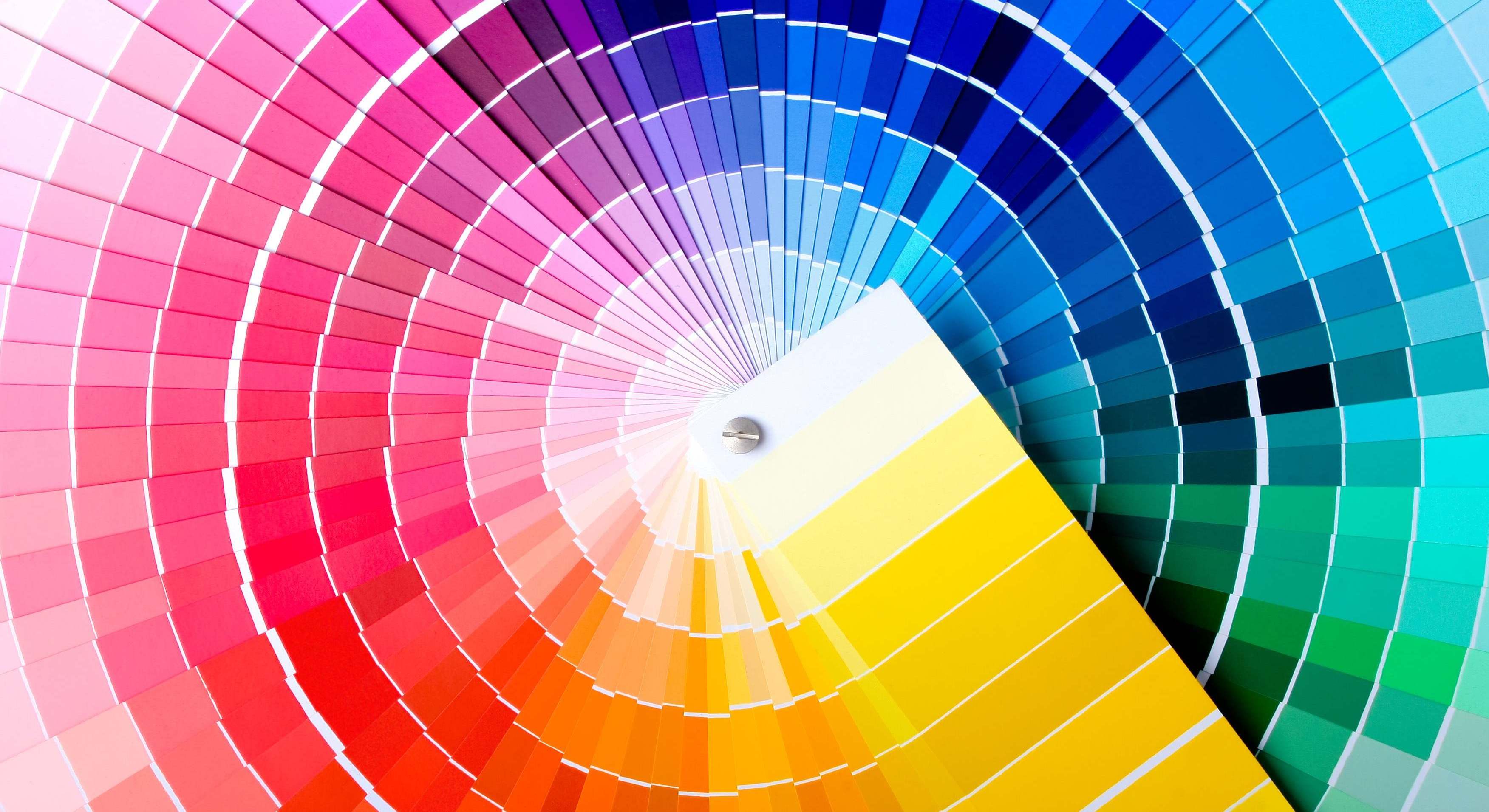 Paleta de colores