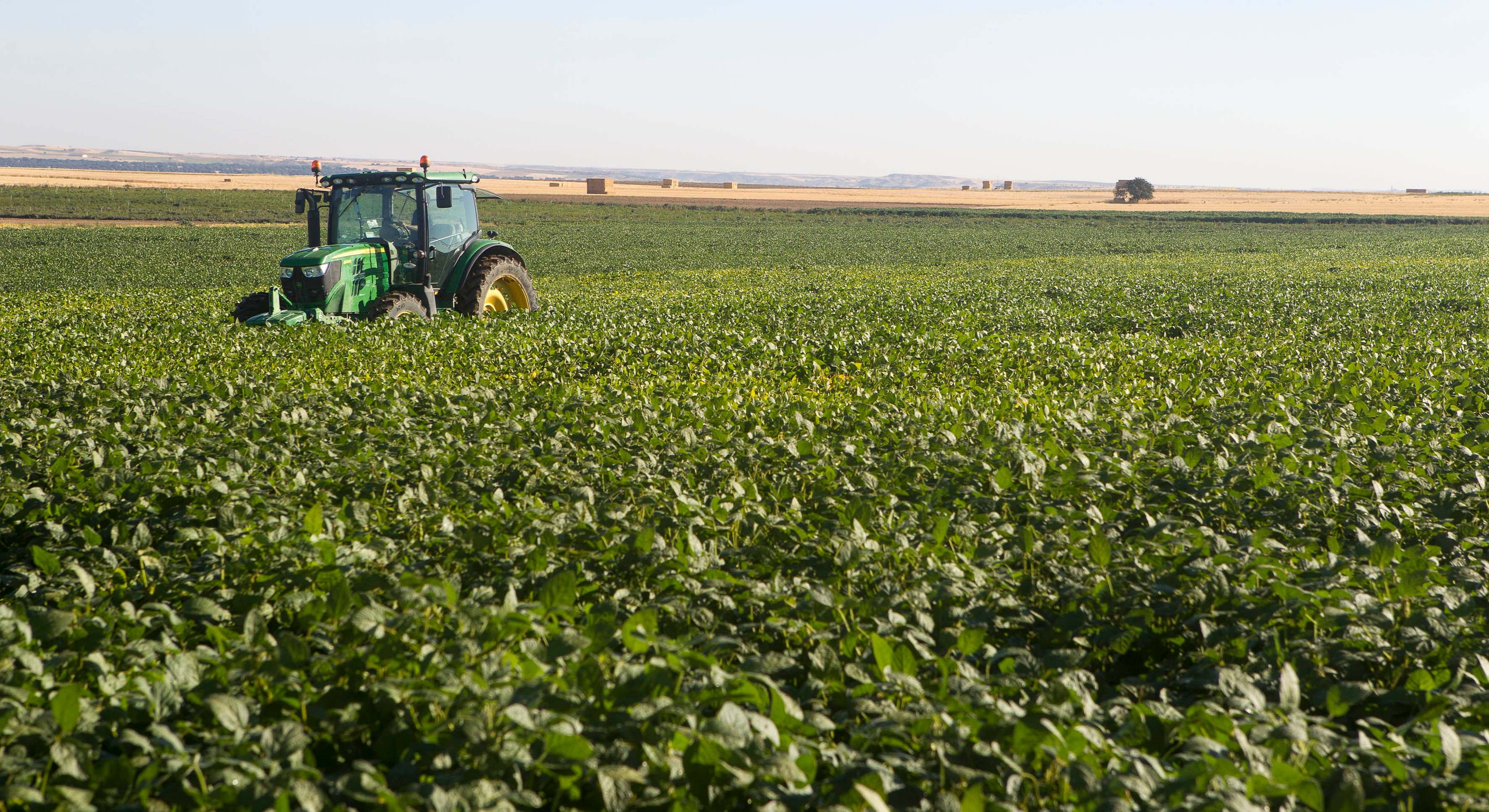 Agricultores cosechando. ee