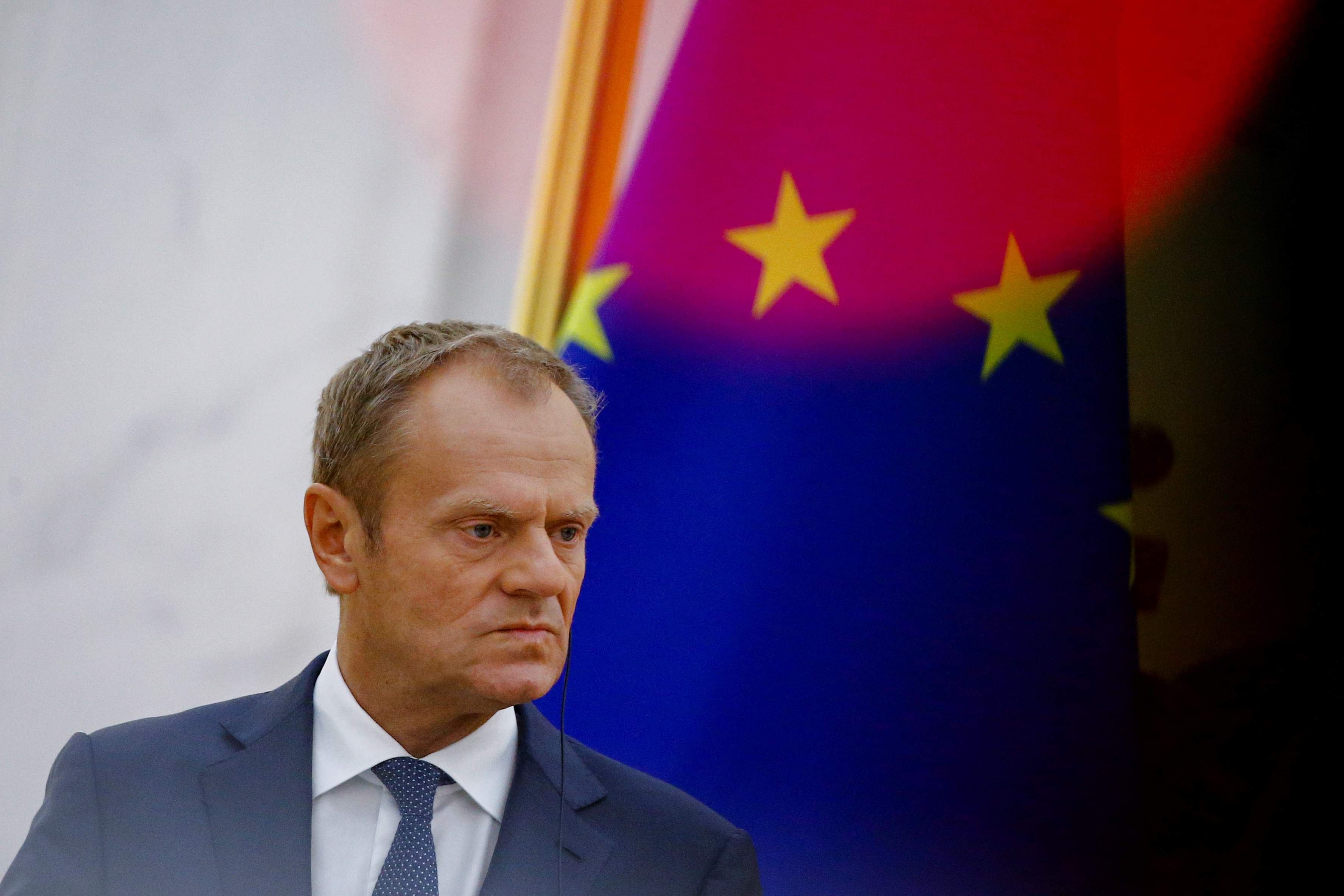 tusk.jpg