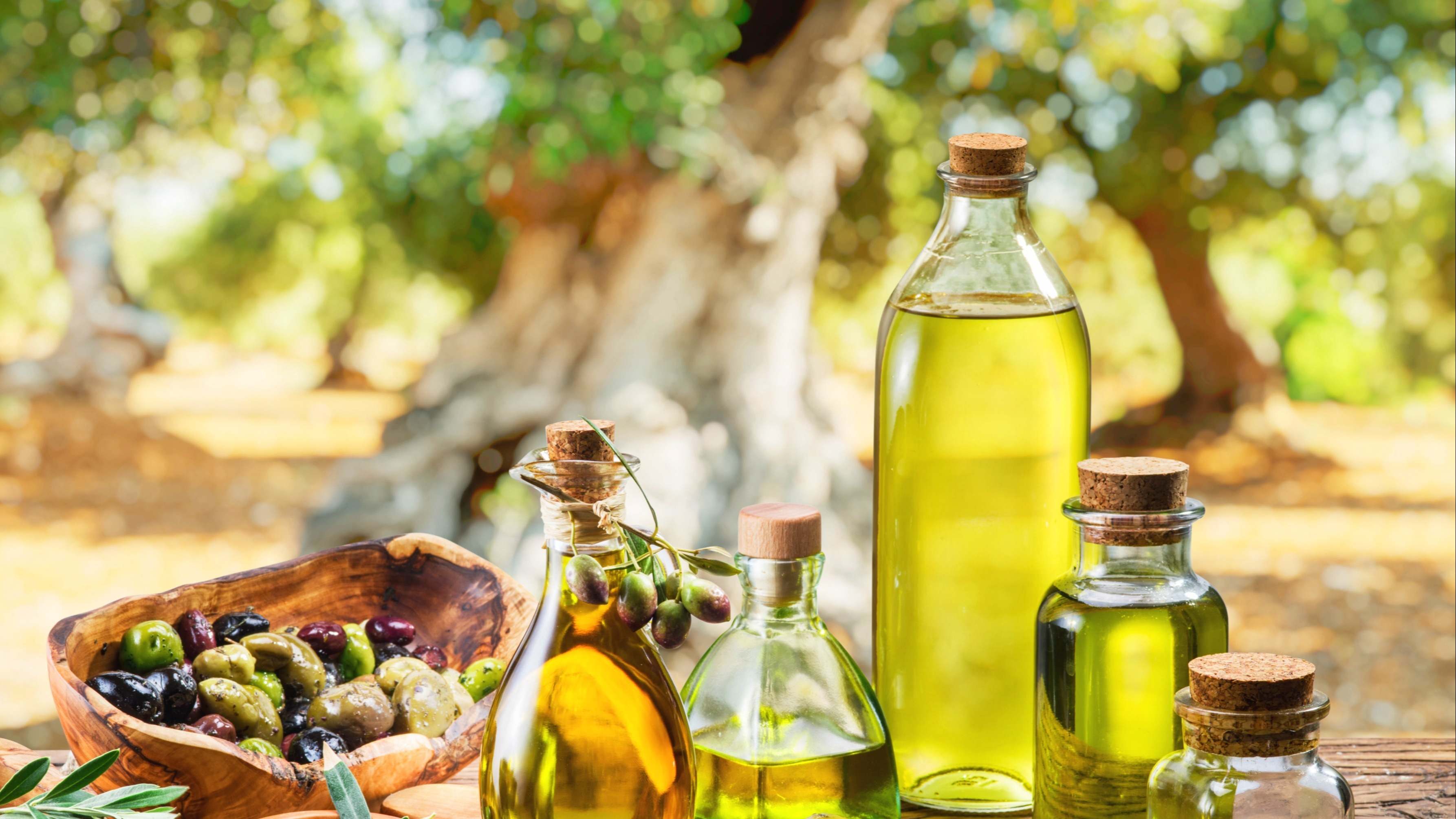 aceite oliva España aceituna Turquía