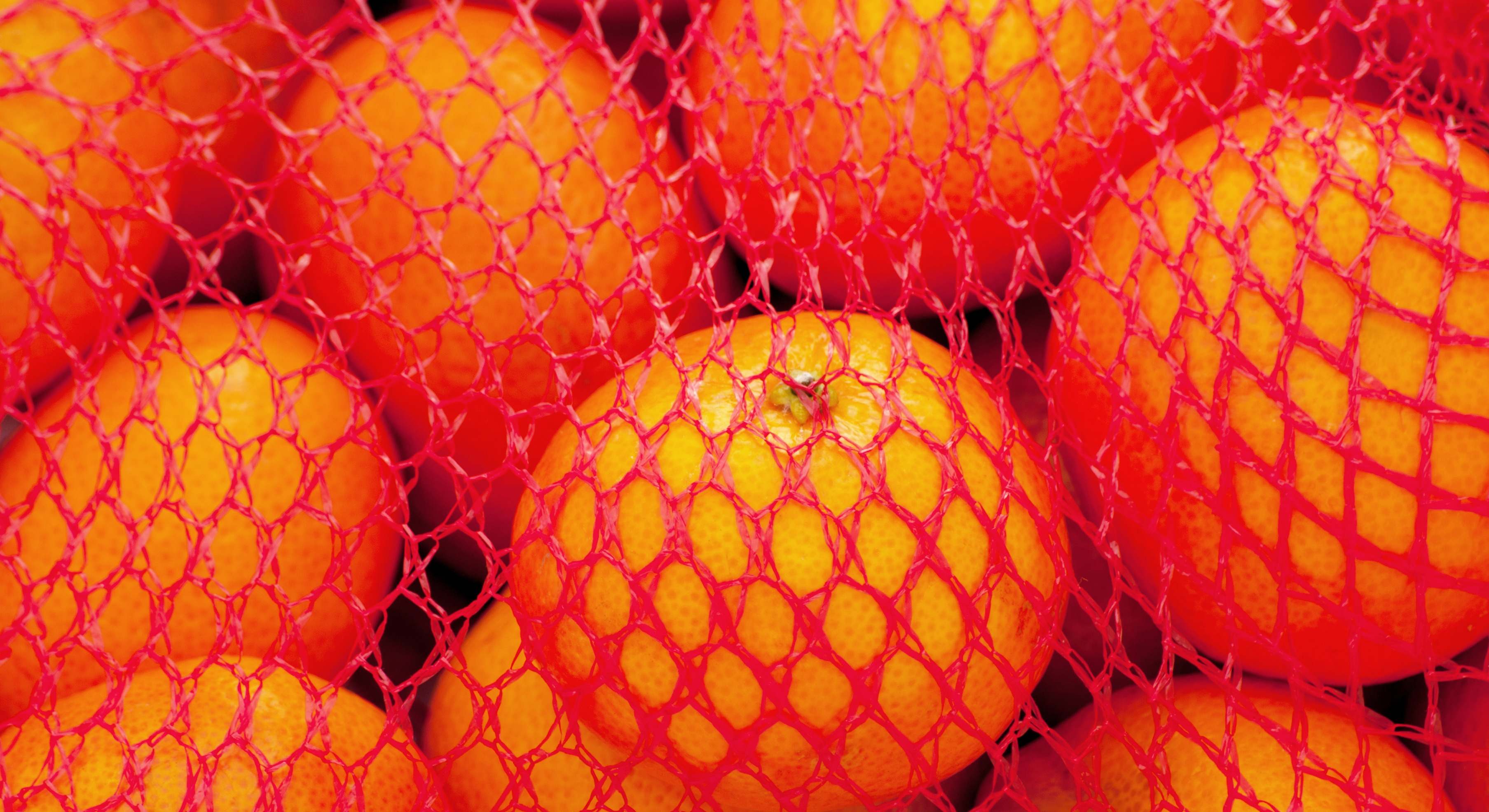 malla de naranjas