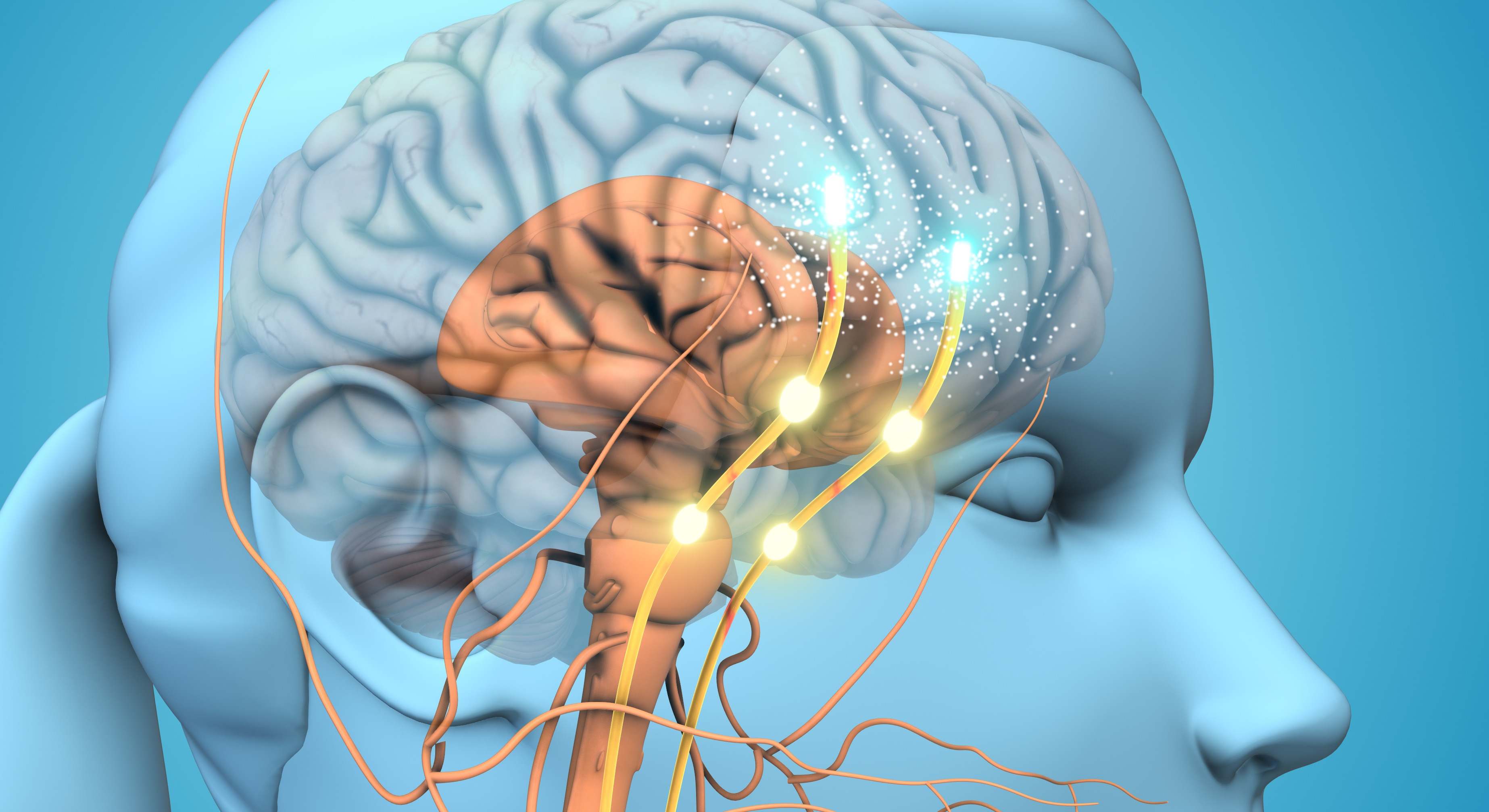 Ilustración sobre la liberación de dopamina en el cerebro