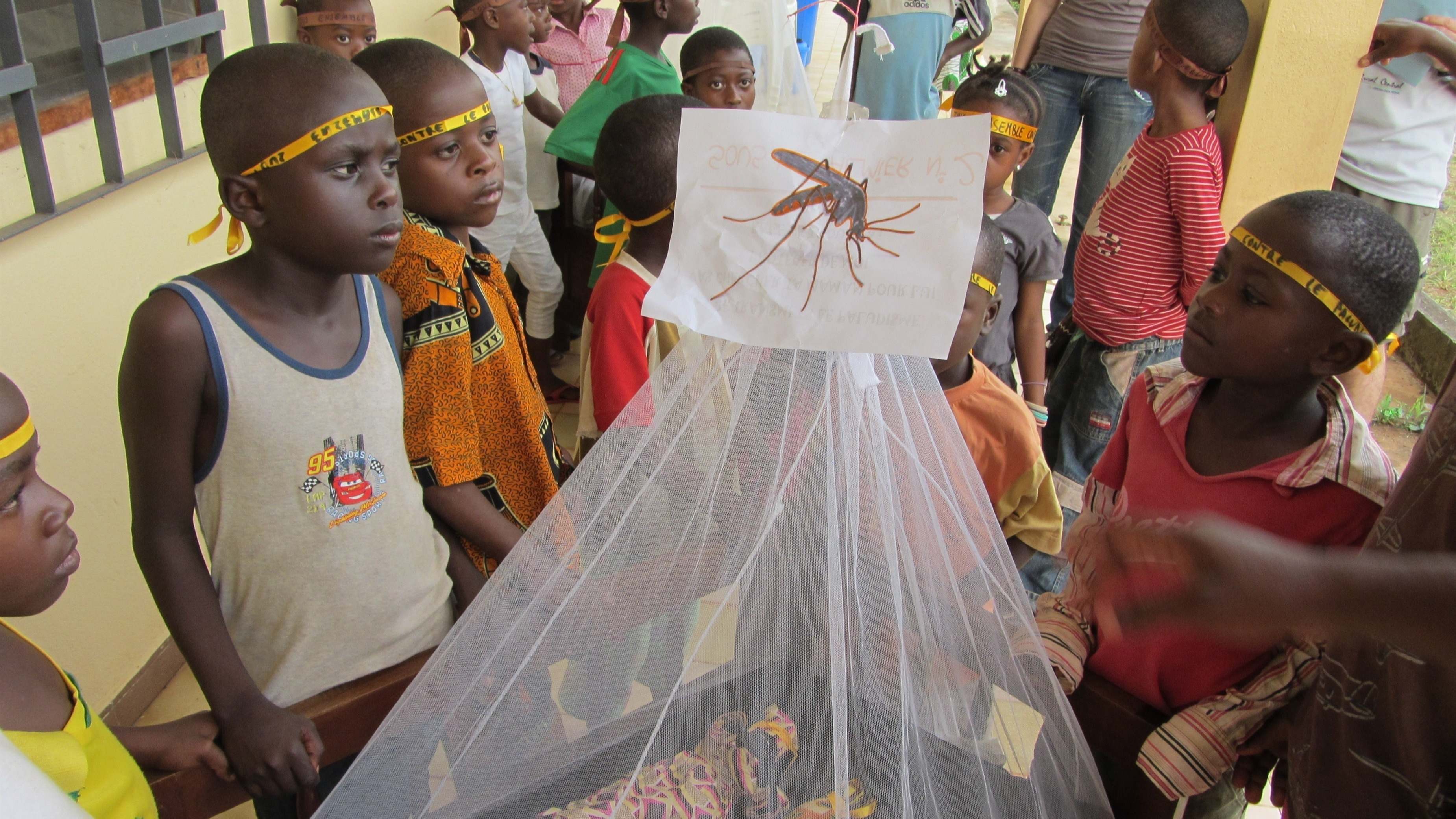 malaria