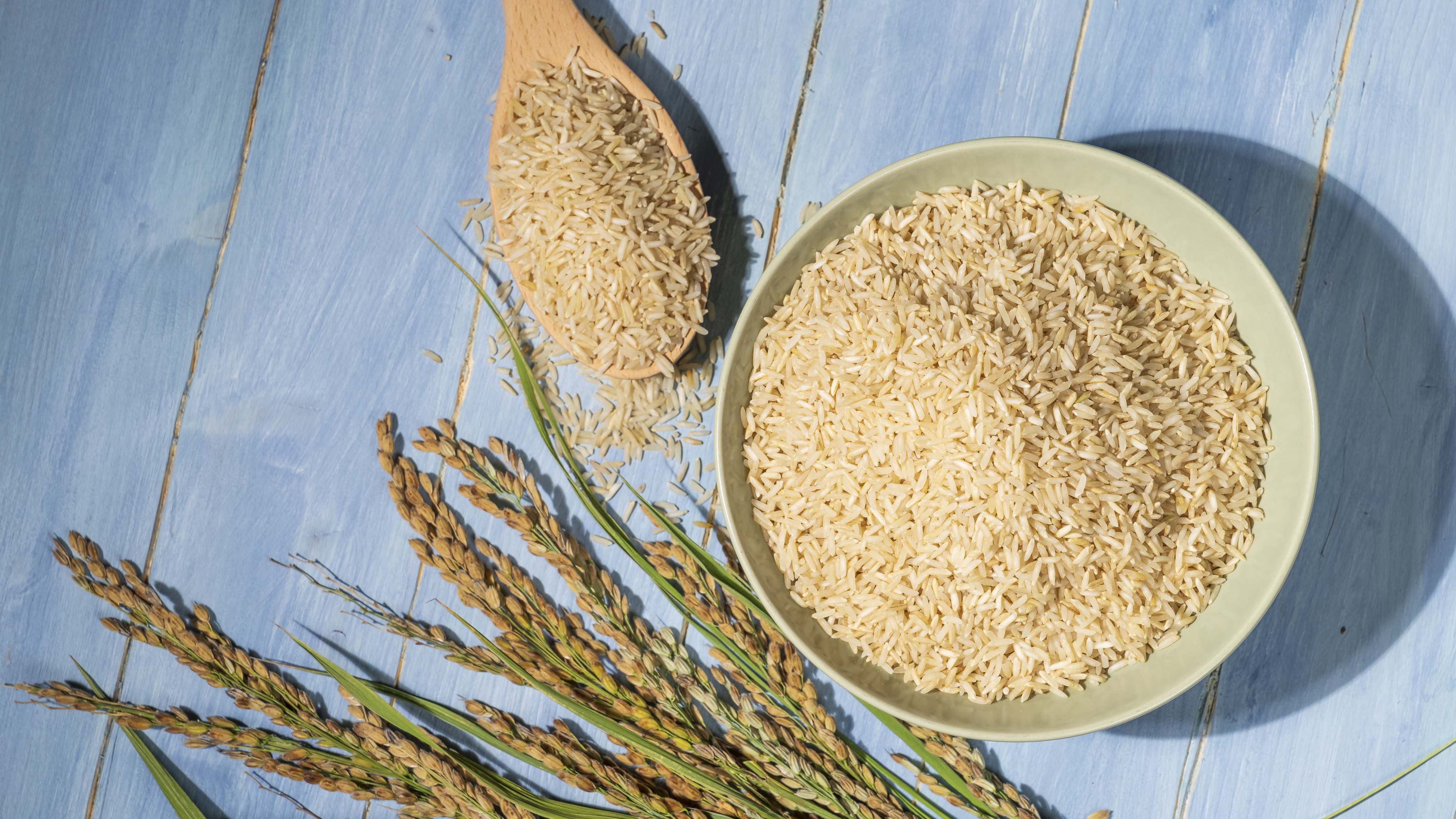 Cuenco de arroz en una mesa exterior. / Foto: Dreamstime